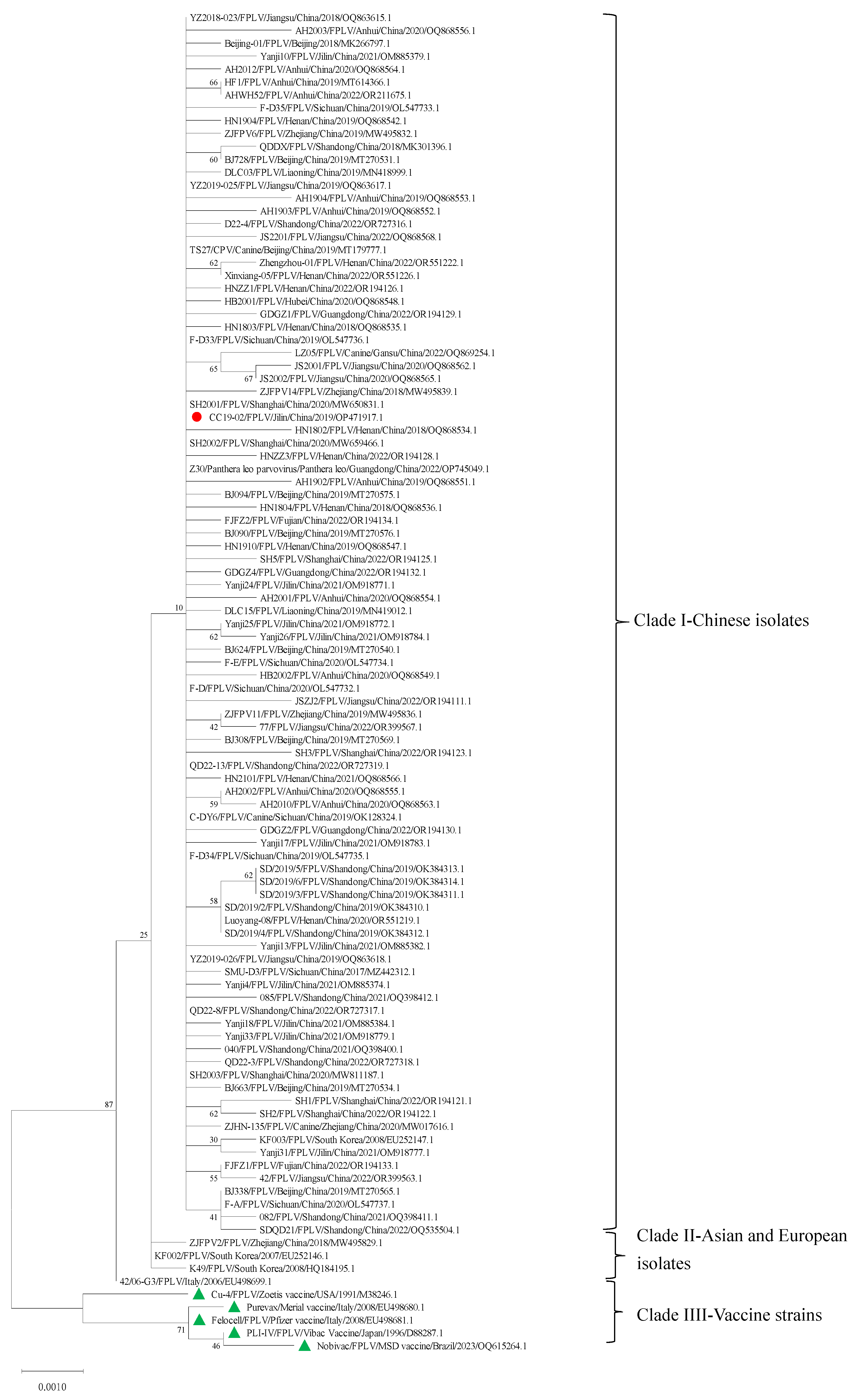 Vetsci 12 00668 g002