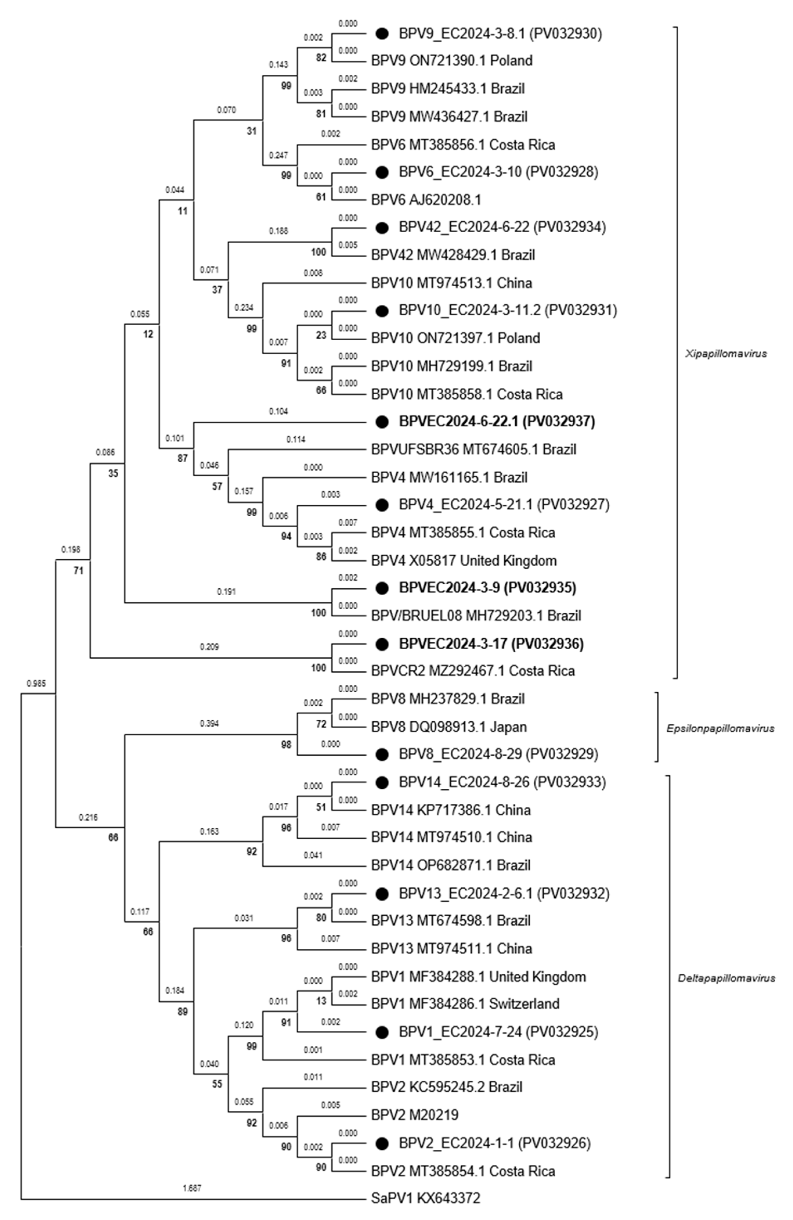 Vetsci 12 00672 g004