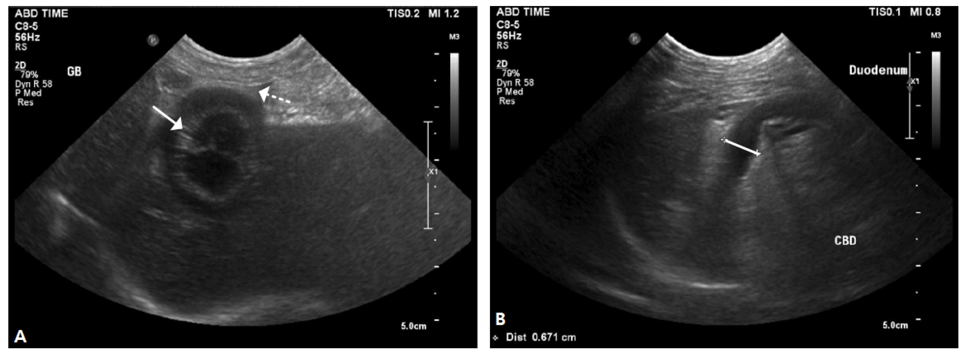Vetsci 12 00673 g001