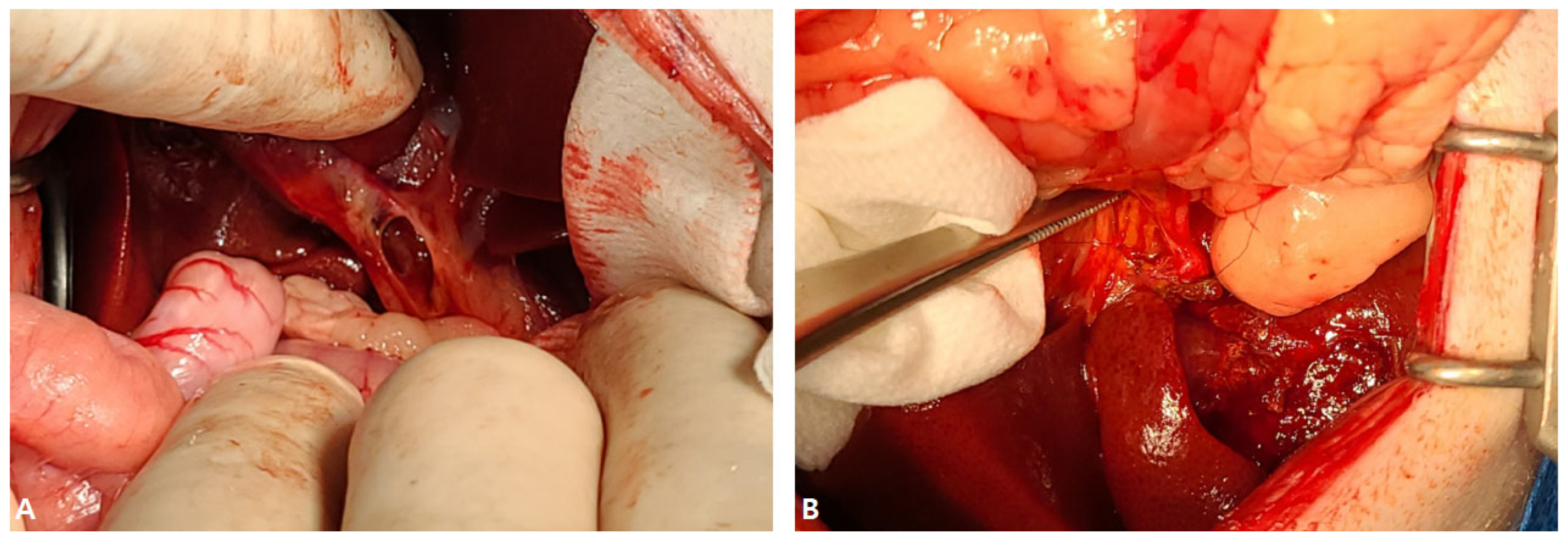 Vetsci 12 00673 g003