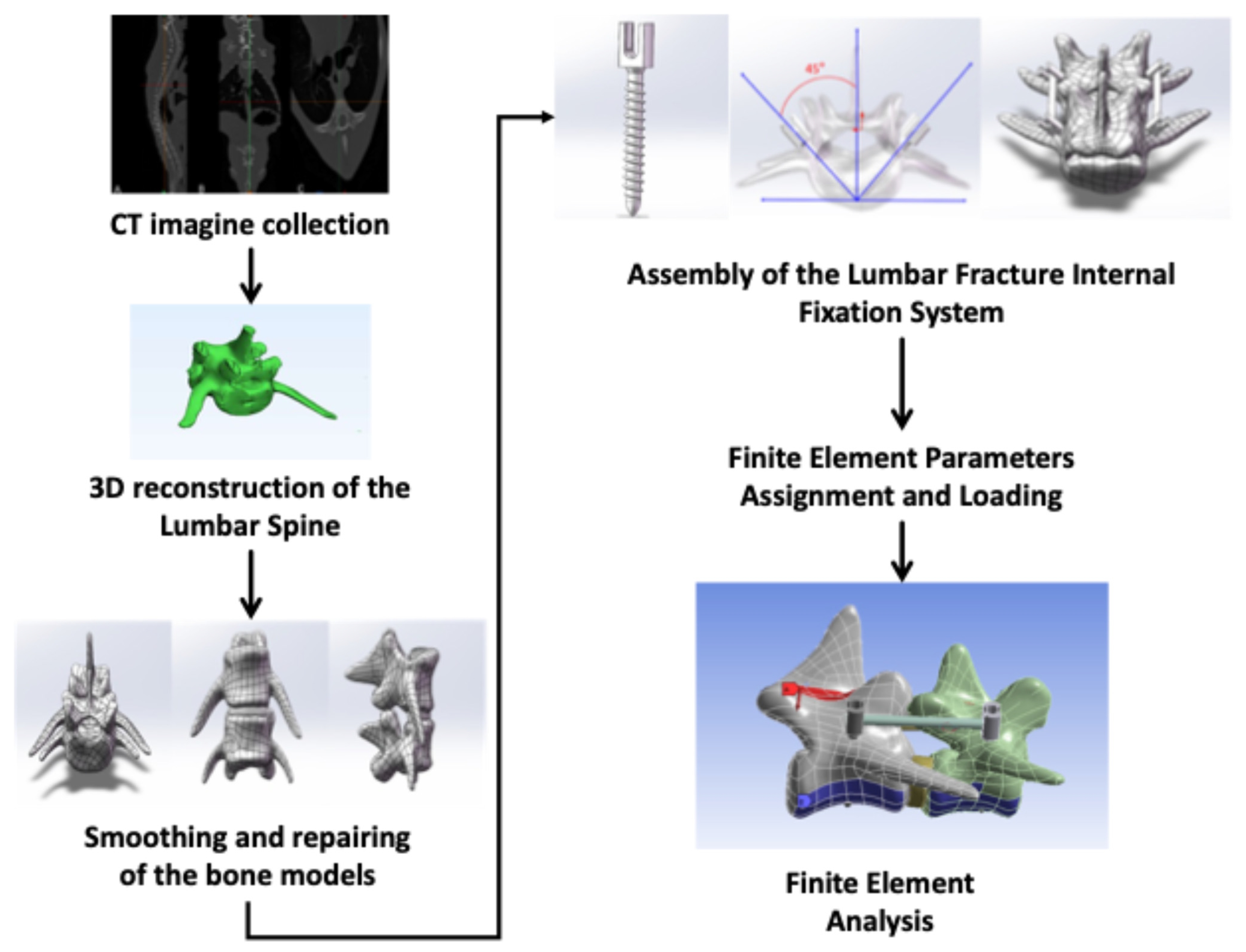 Vetsci 12 00682 g001