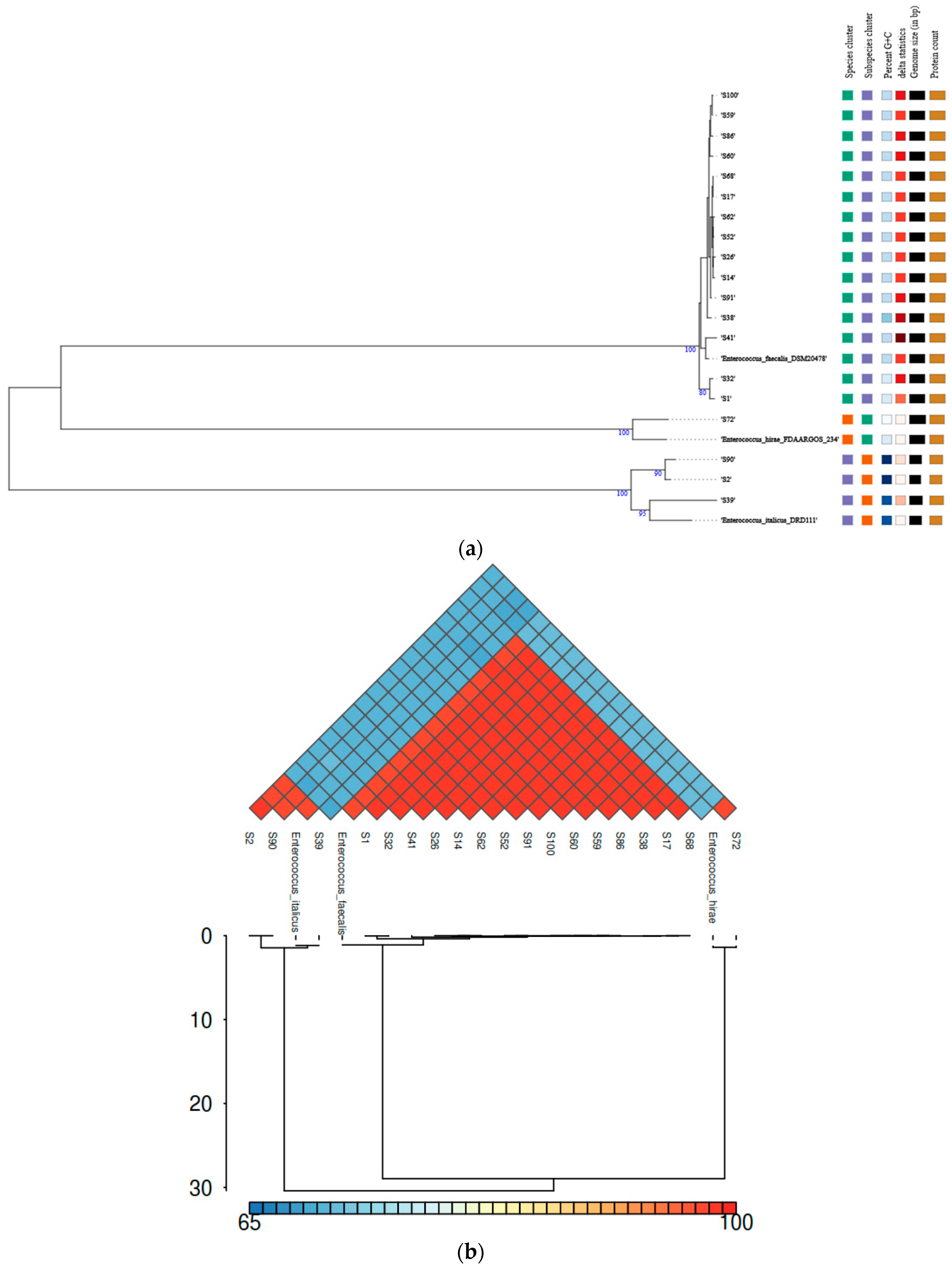 Vetsci 12 00685 g001