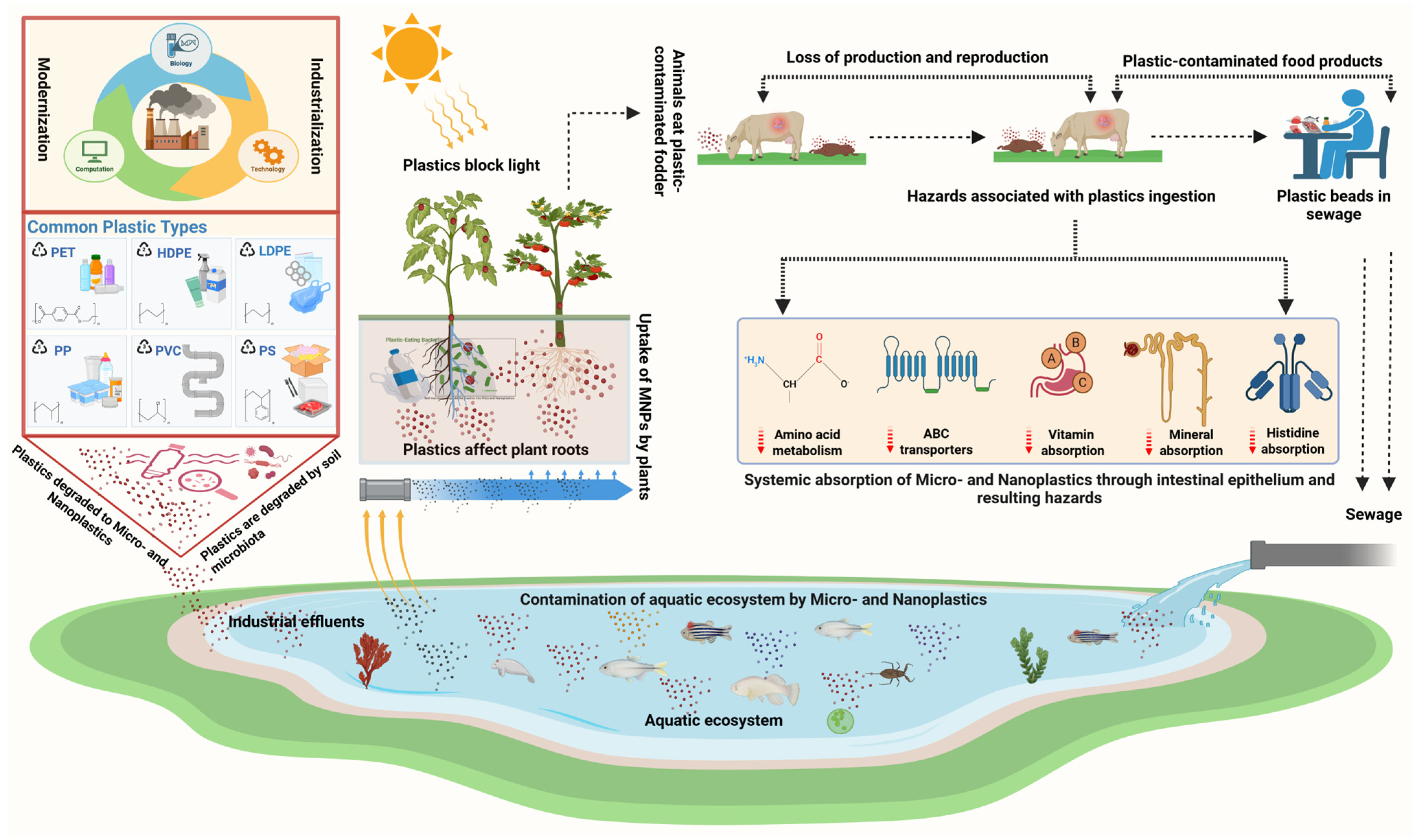 Vetsci 12 00688 g001