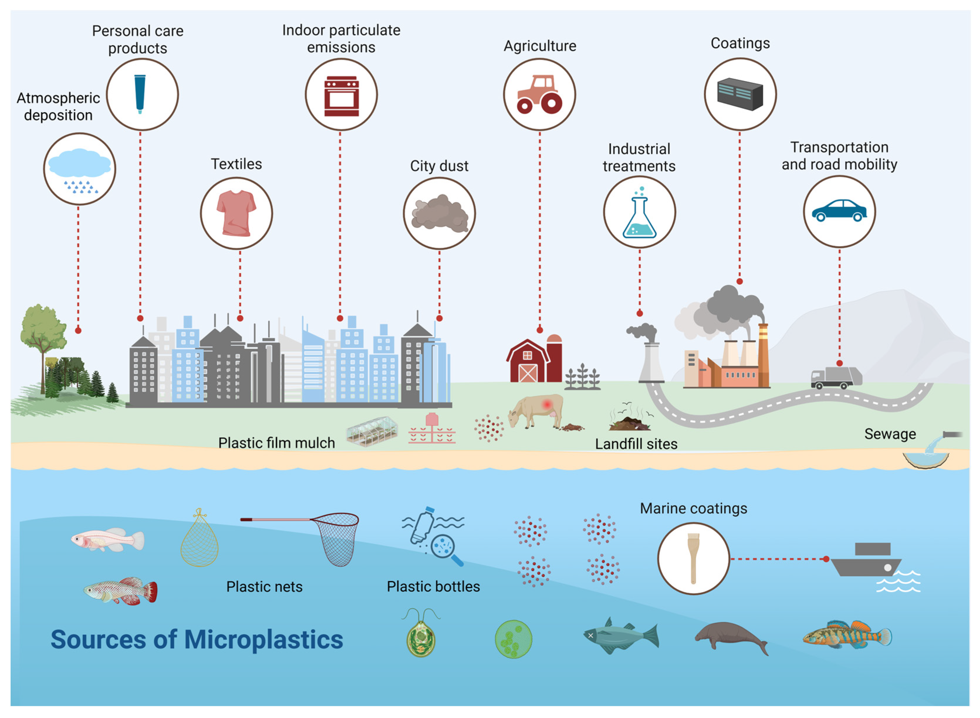 Vetsci 12 00688 g002