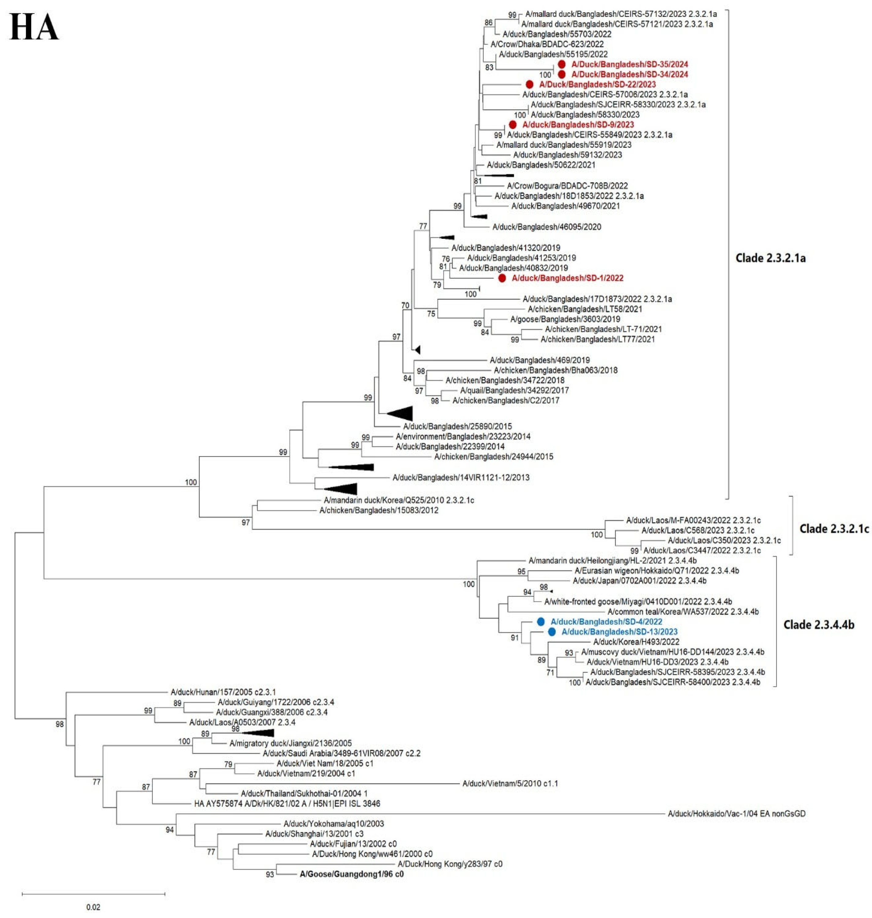 Vetsci 12 00689 g005a