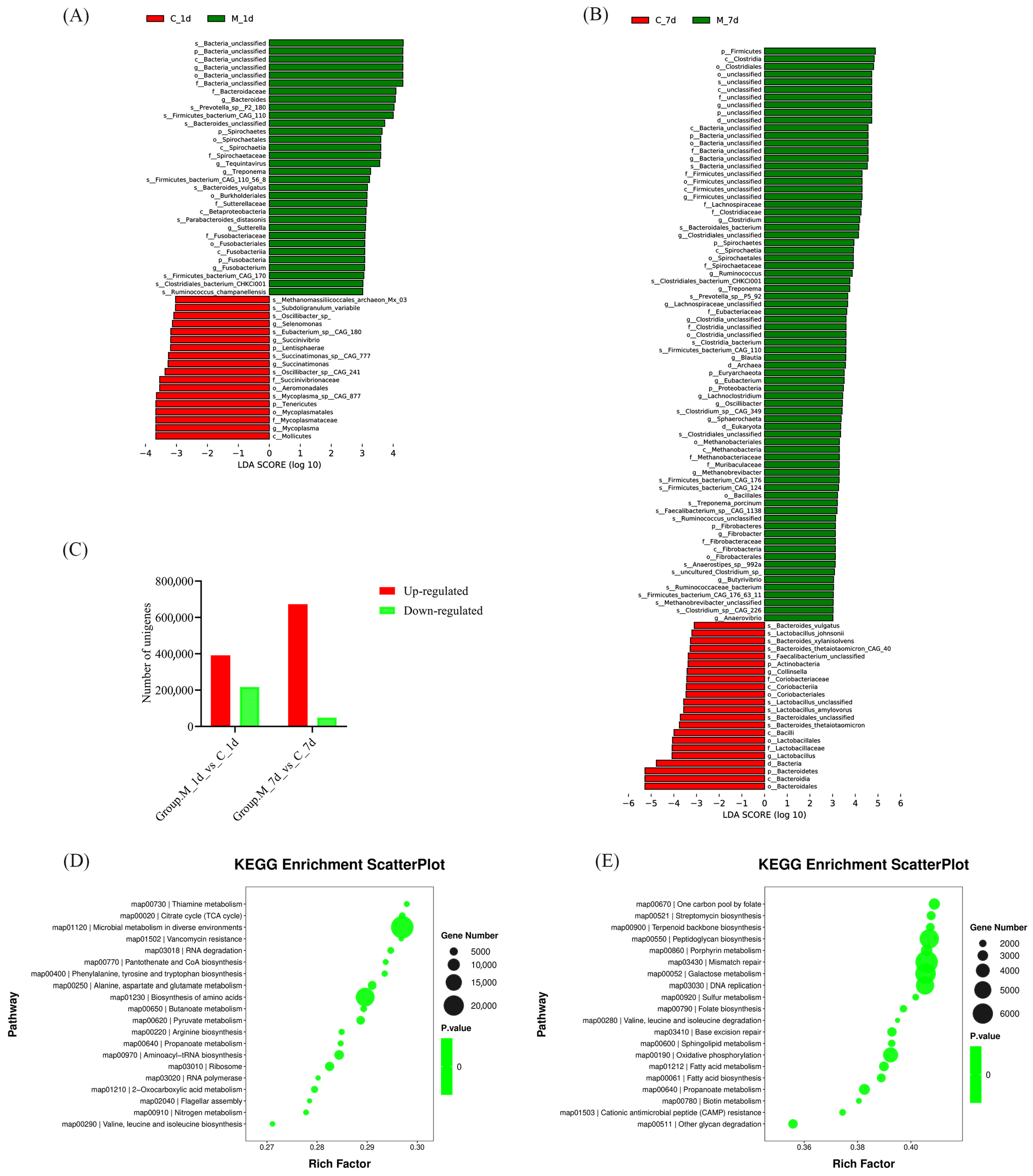Vetsci 12 00694 g002