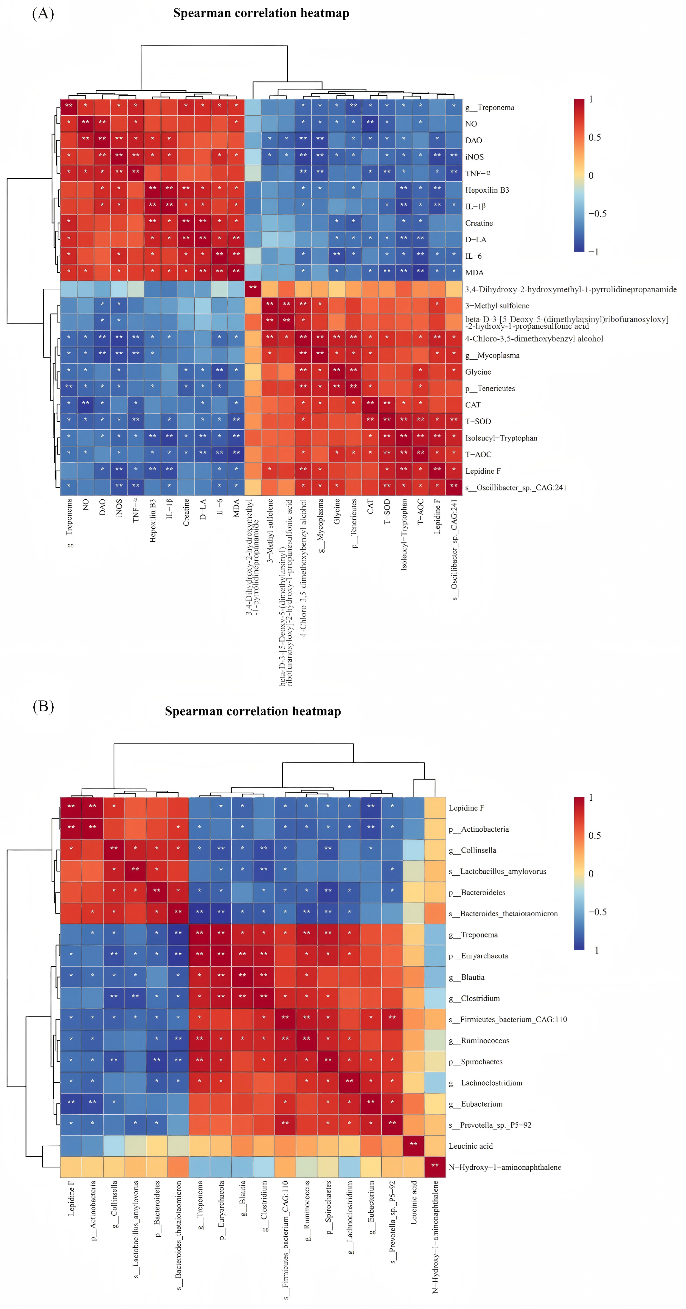 Vetsci 12 00694 g005
