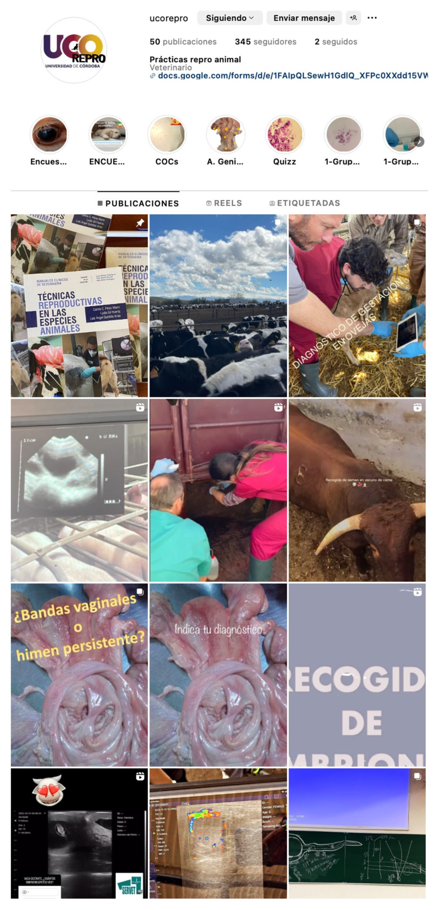 Vetsci 12 00698 g001