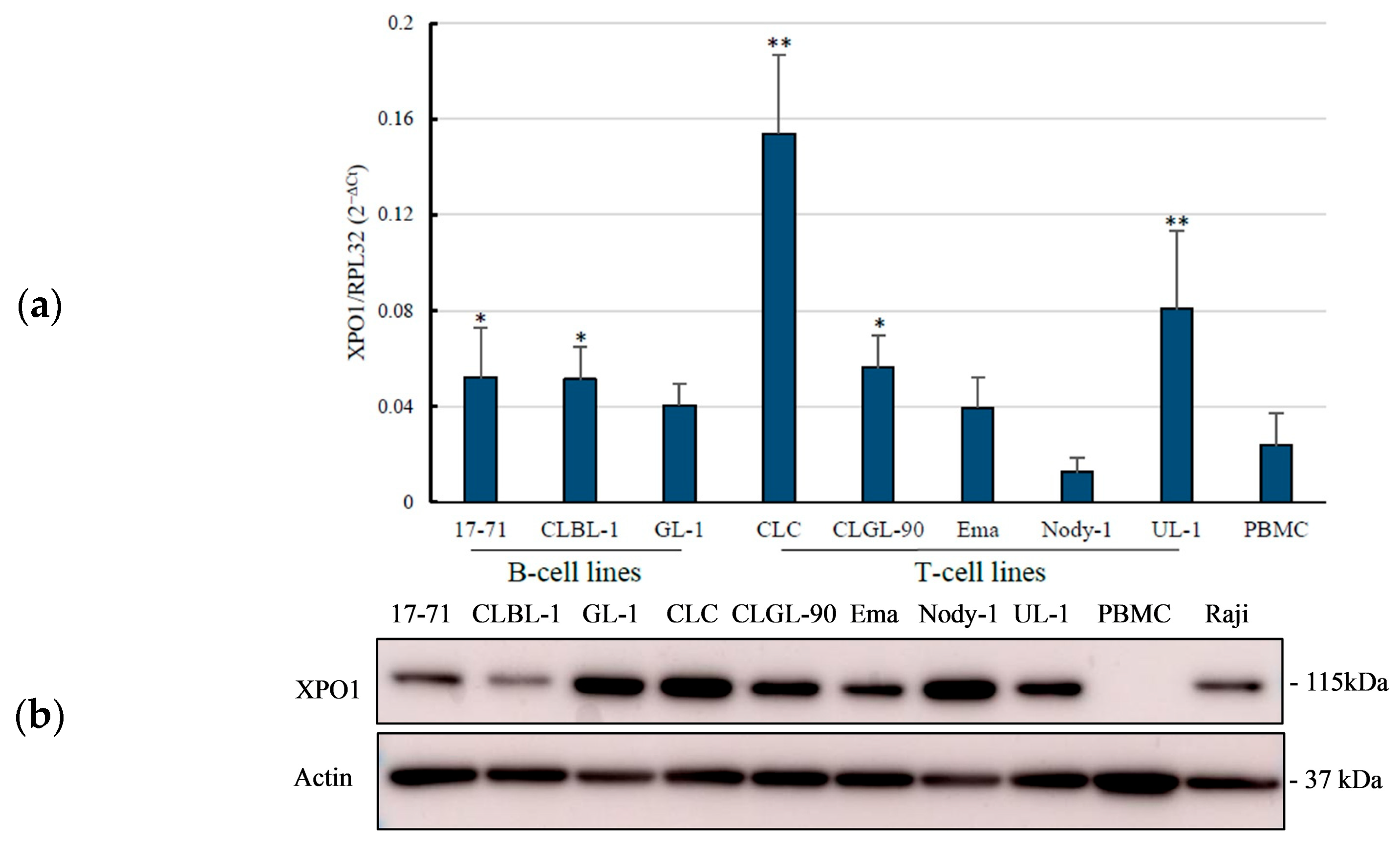 Vetsci 12 00700 g001a