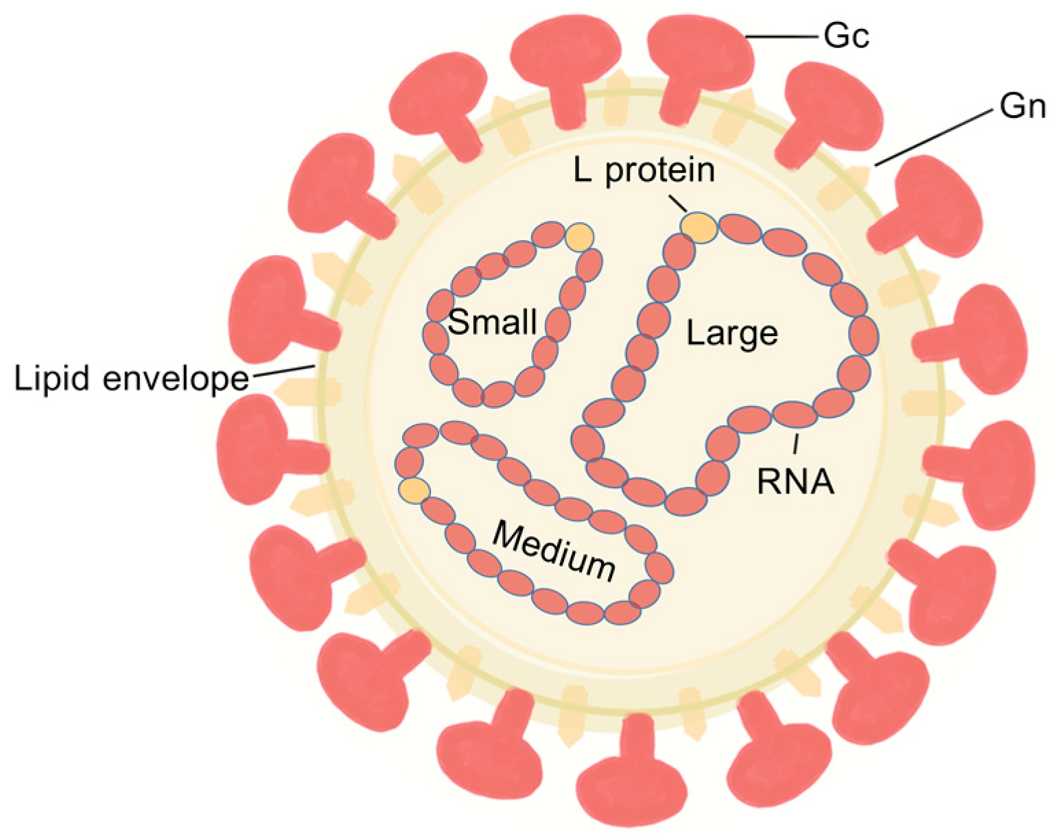 Vetsci 12 00701 g001