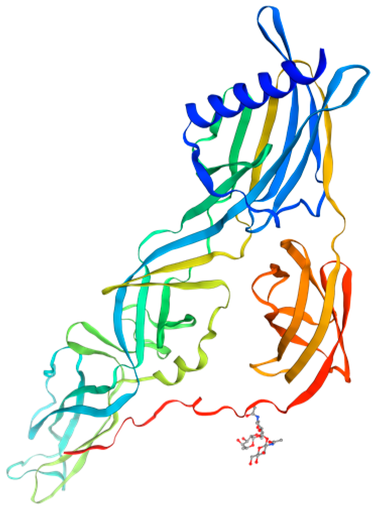 Vetsci 12 00701 g002