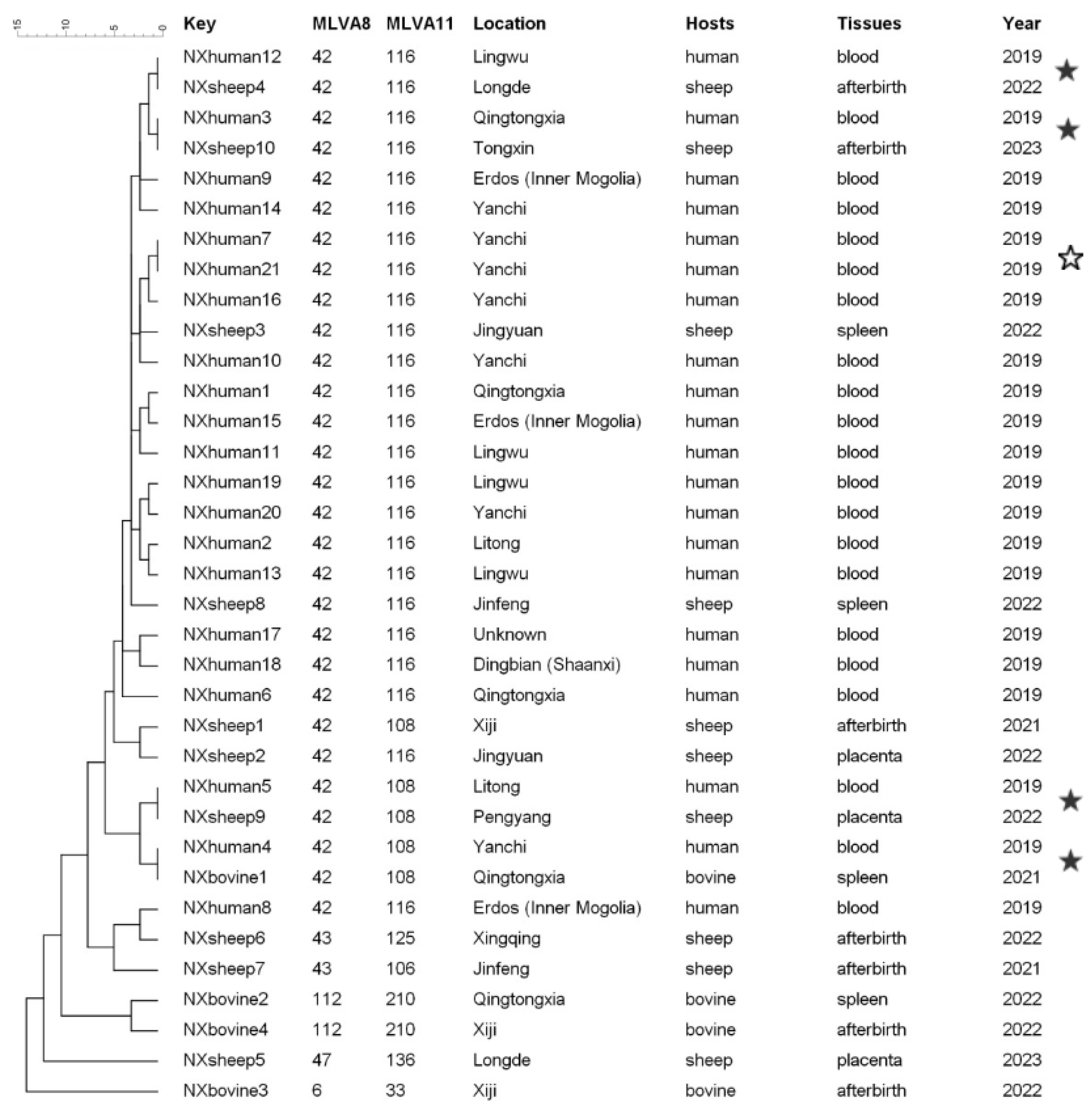 Vetsci 12 00702 g004