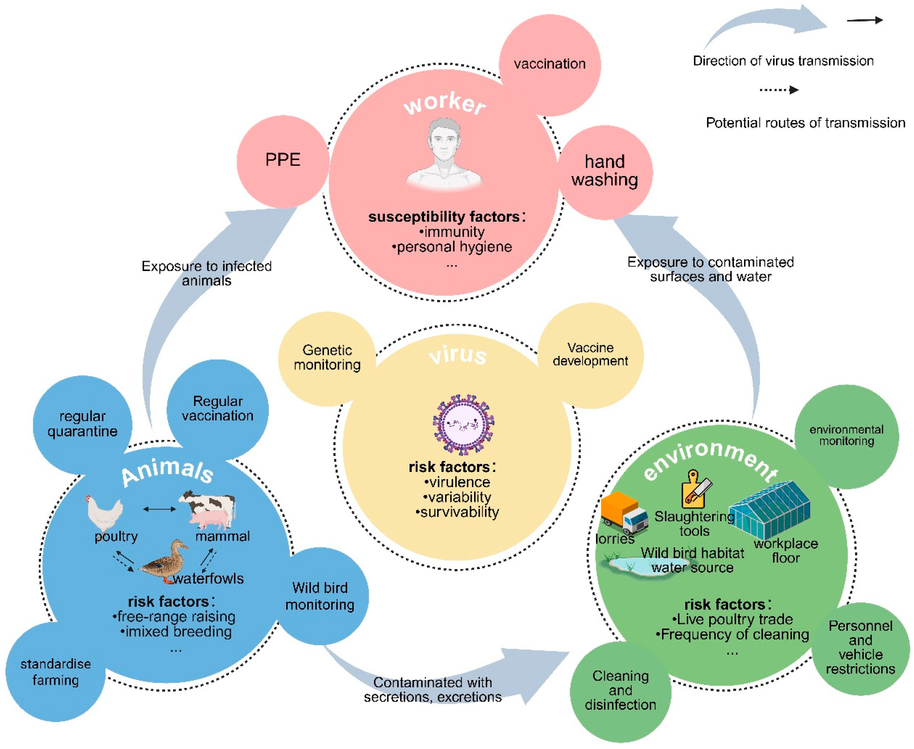 Vetsci 12 00704 g001