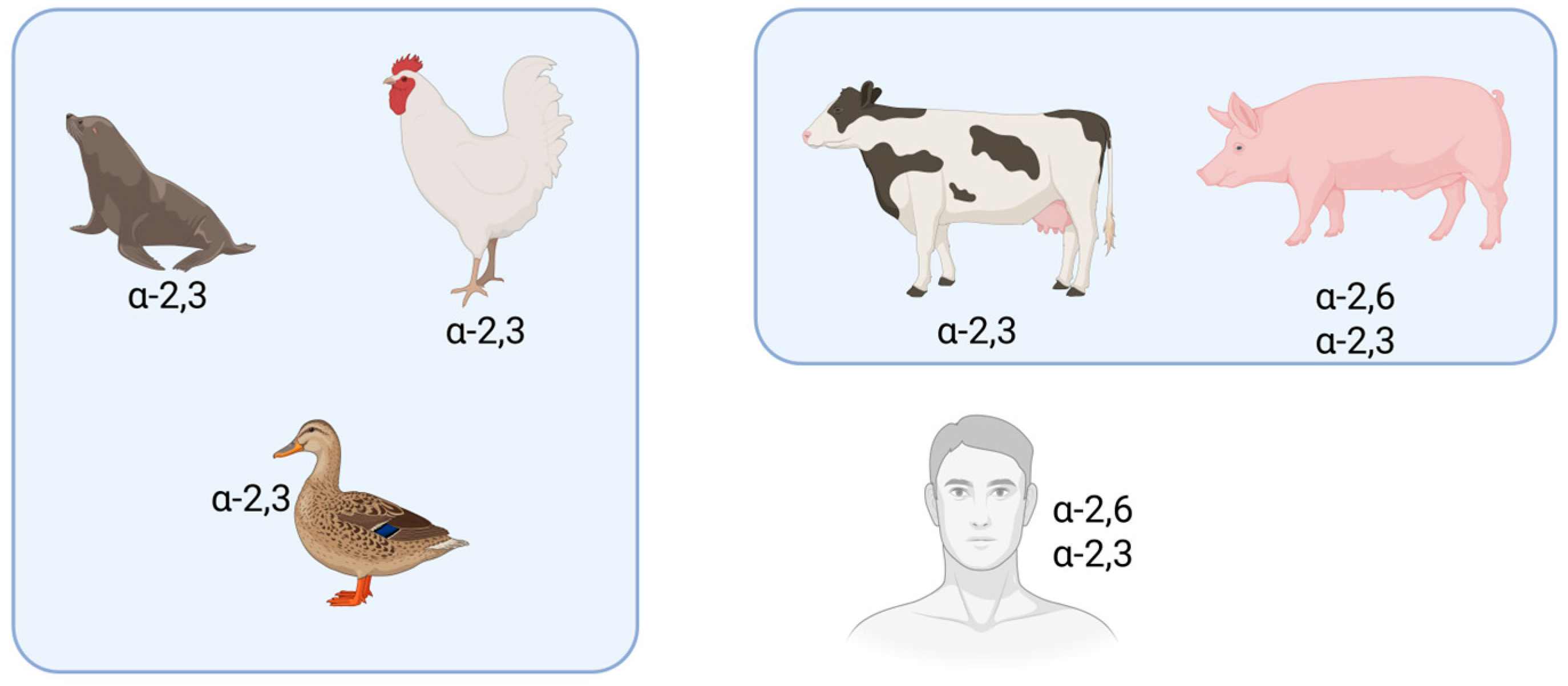 Vetsci 12 00704 g002