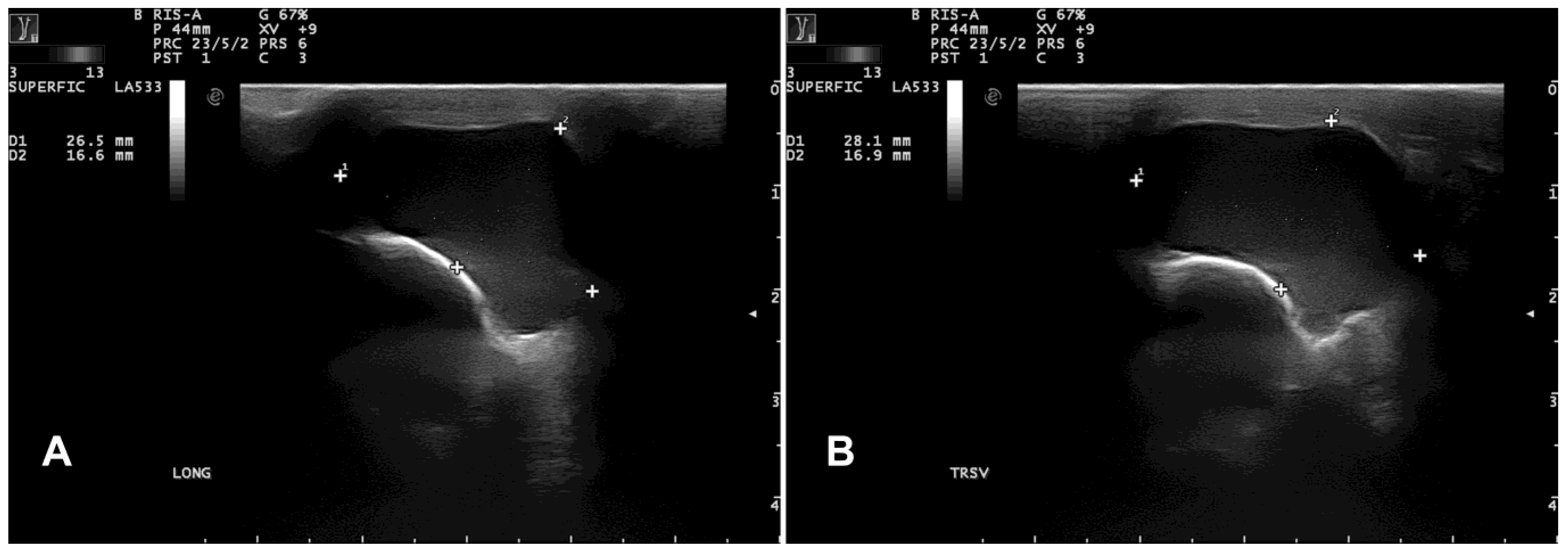 Vetsci 12 00705 g003