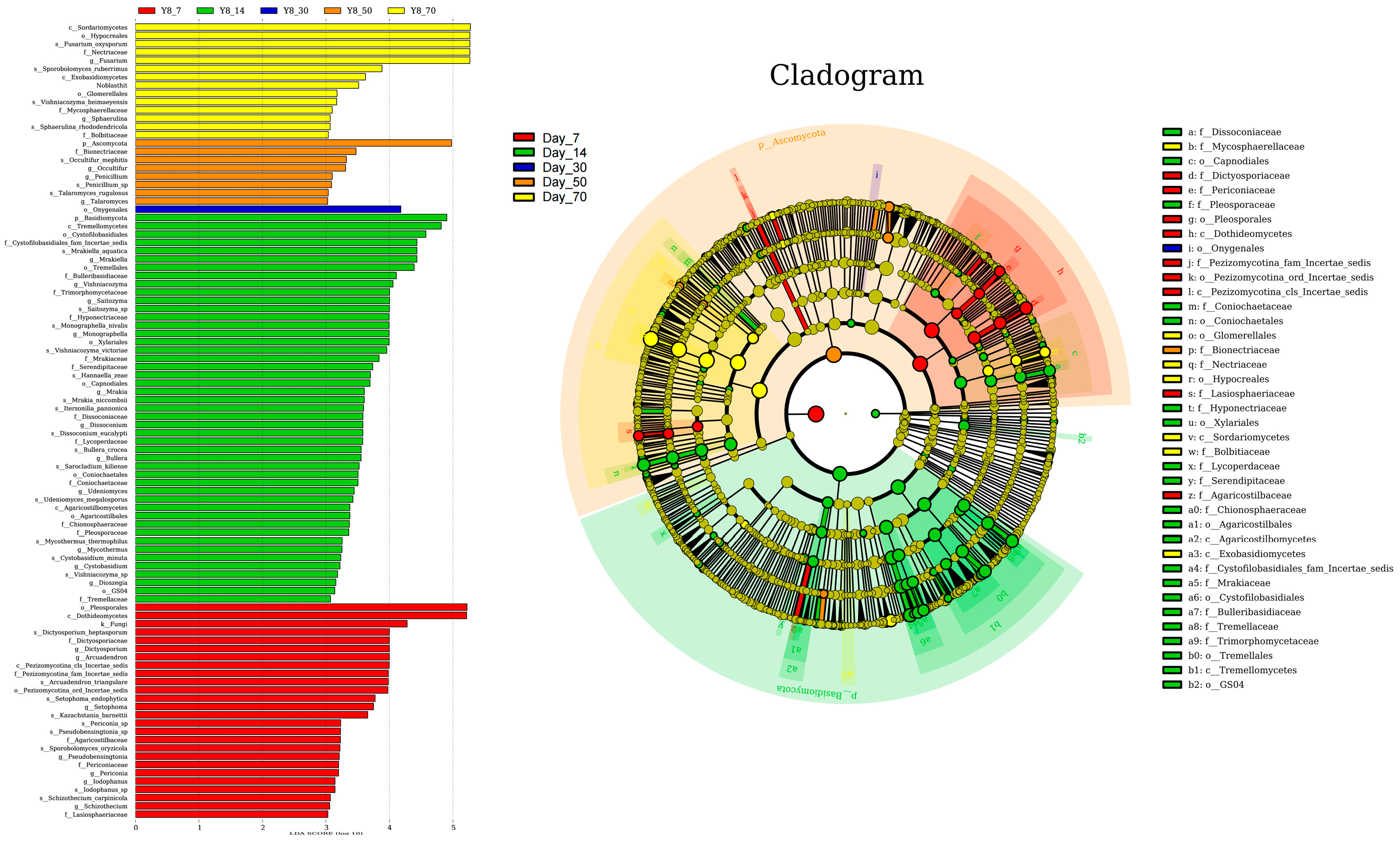 Vetsci 12 00708 g007