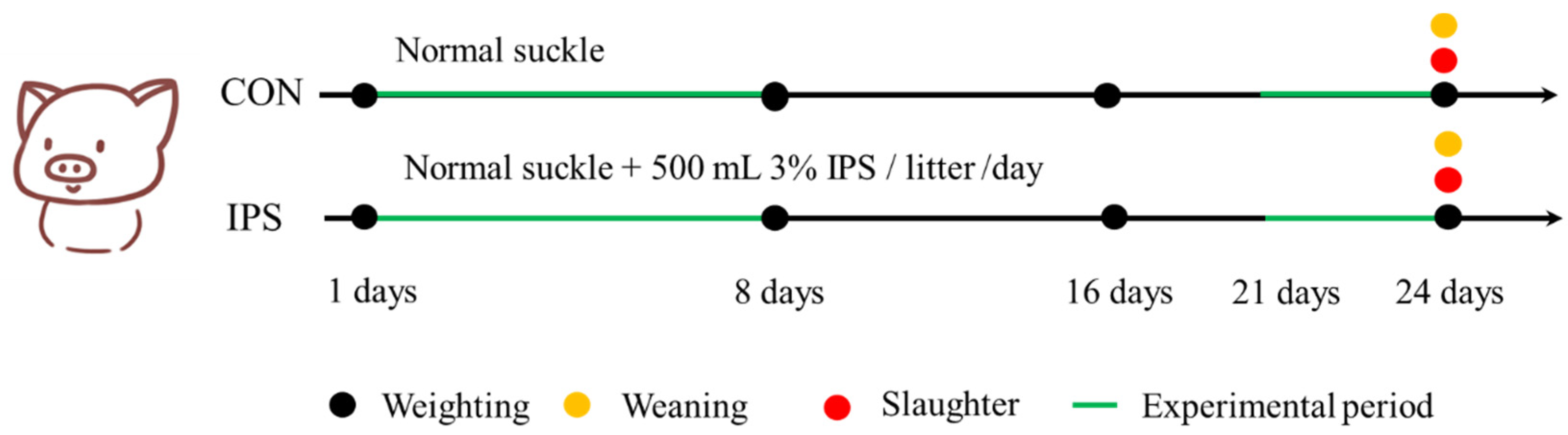 Vetsci 12 00715 g001