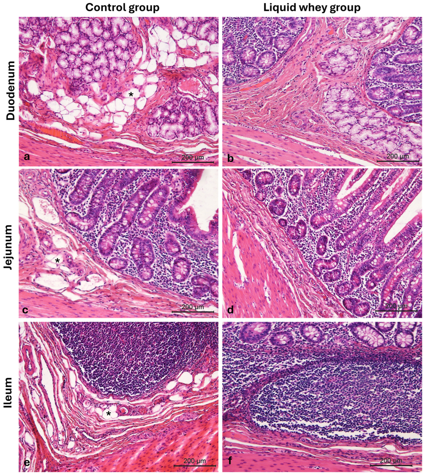Vetsci 12 00716 g006