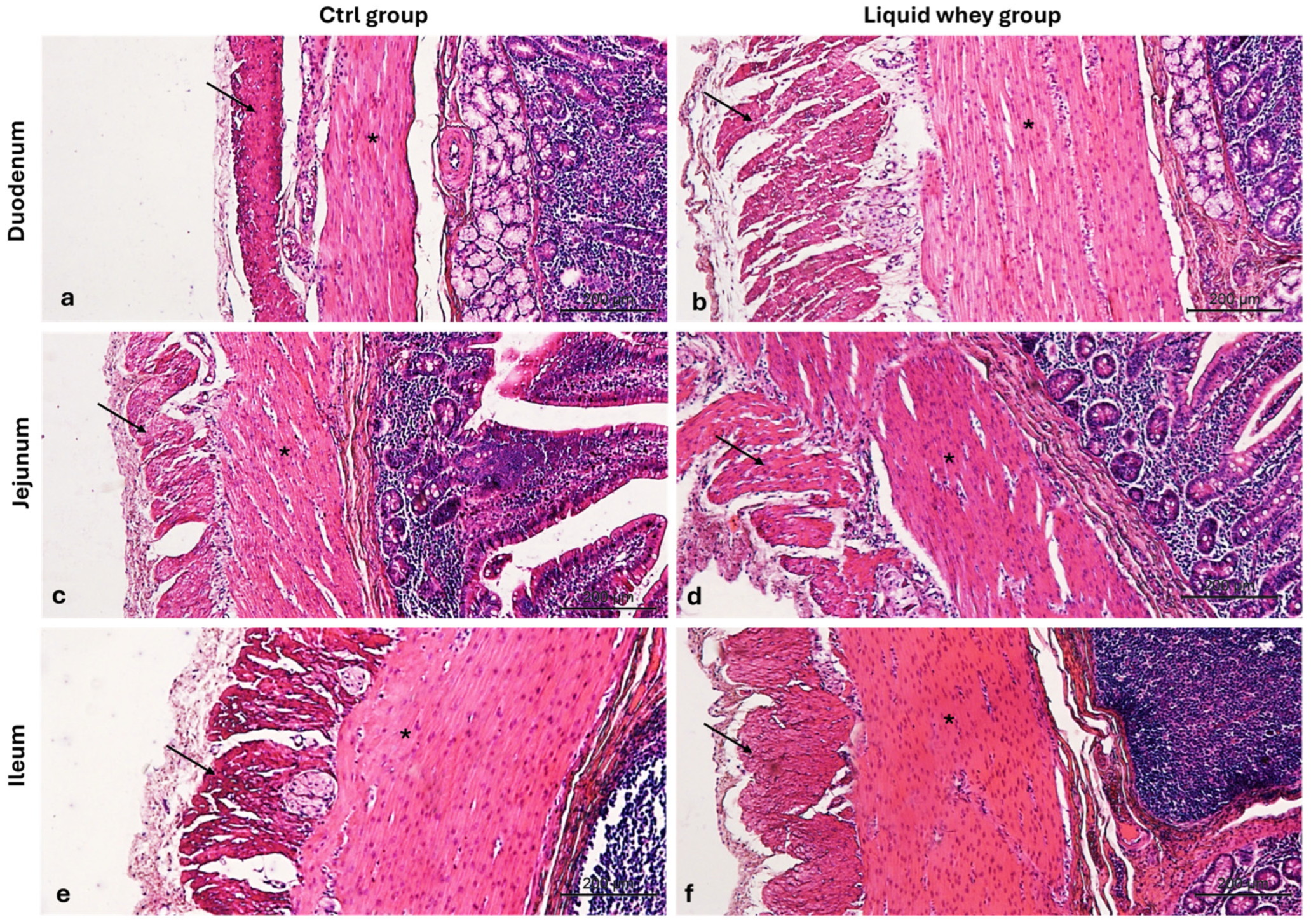 Vetsci 12 00716 g007