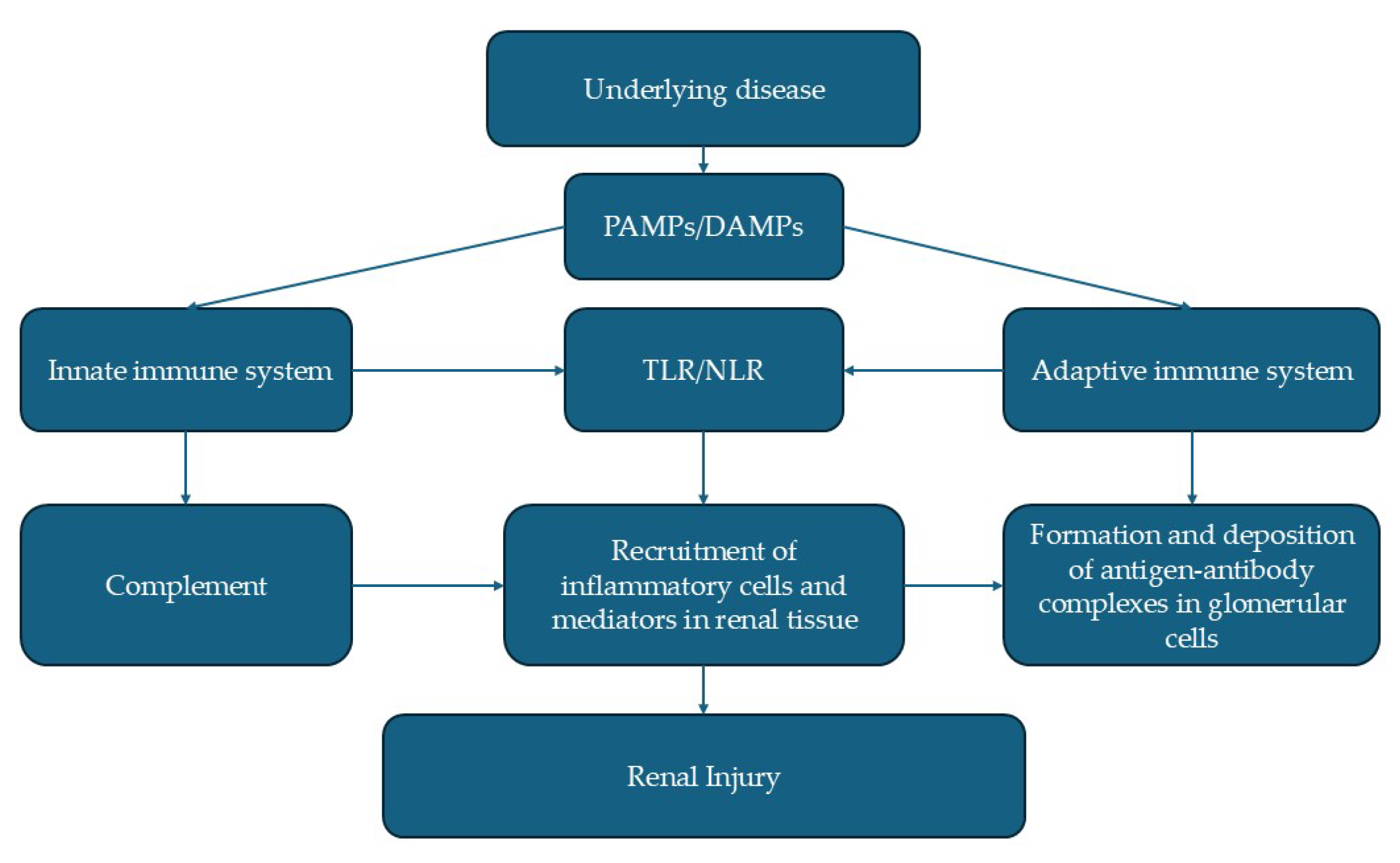 Vetsci 12 00721 g001