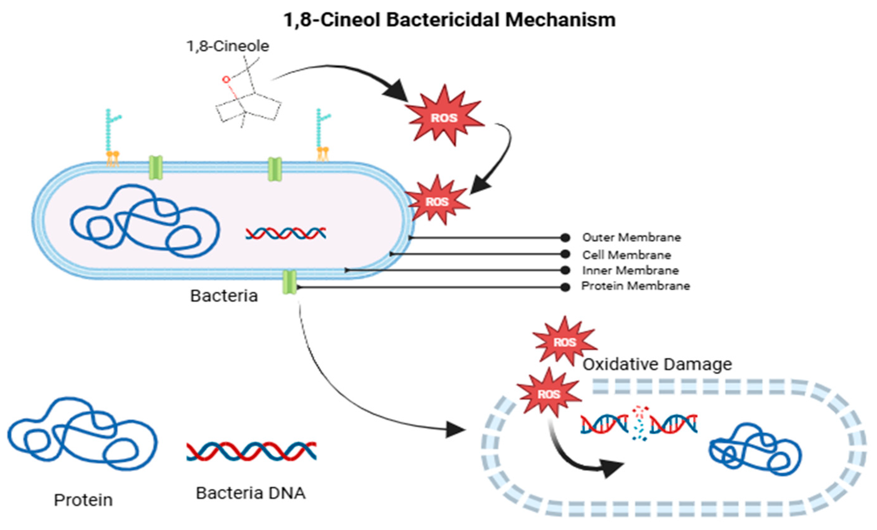 Vetsci 12 00726 g006
