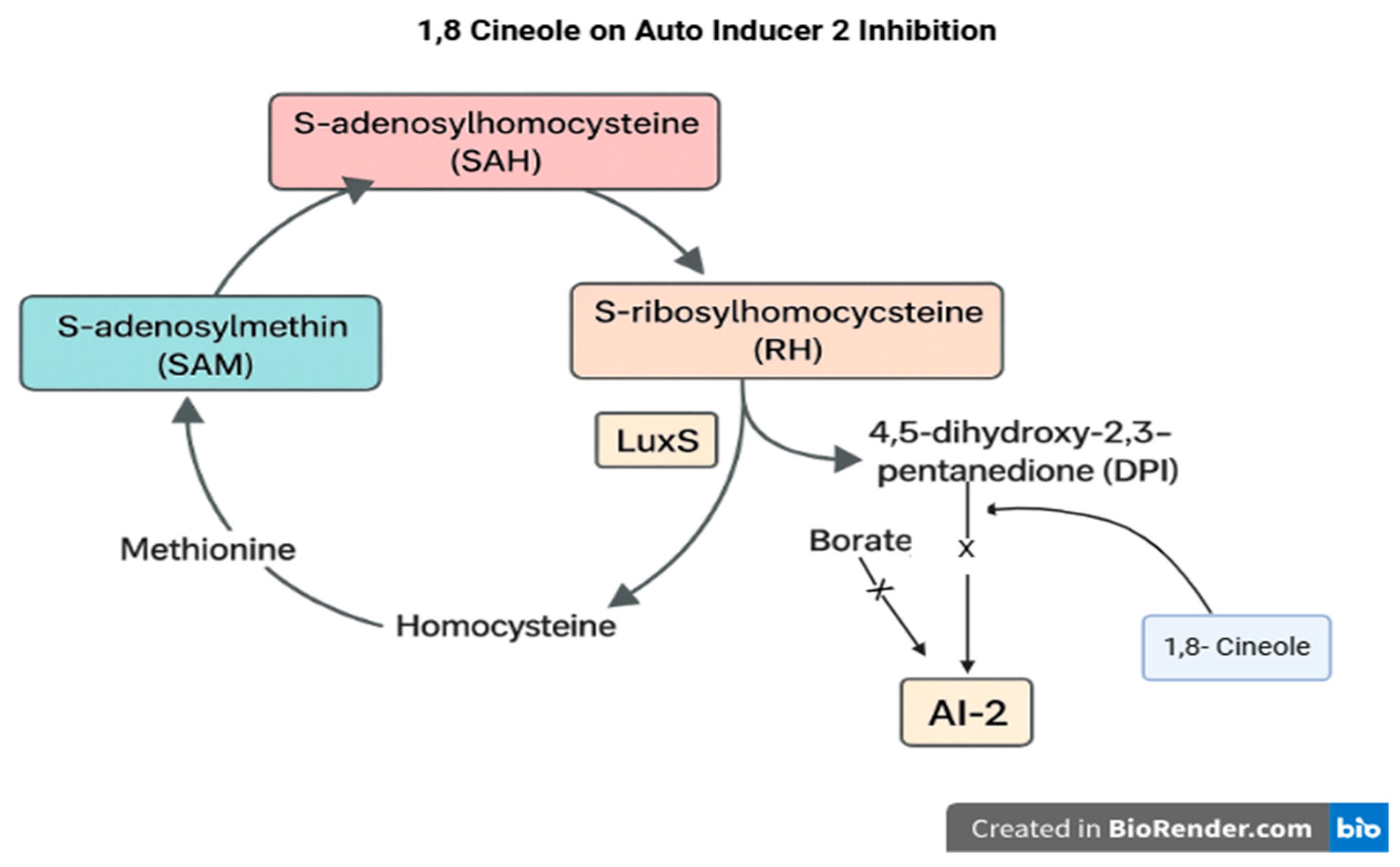 Vetsci 12 00726 g007