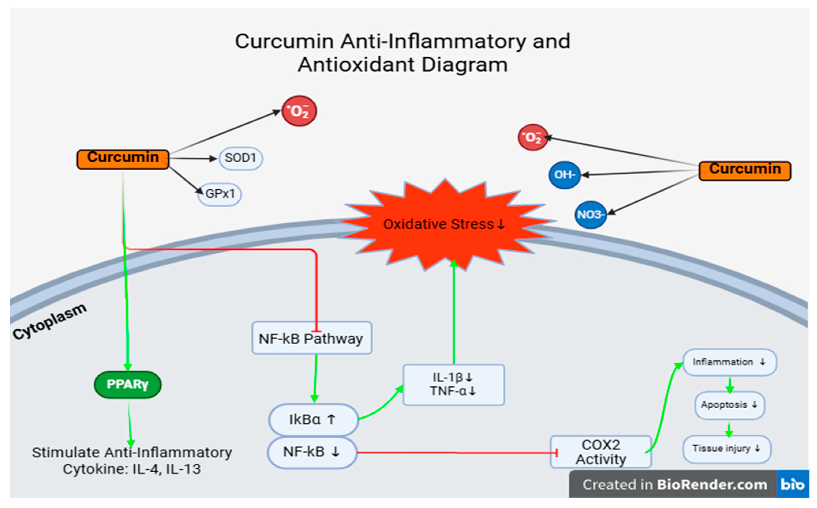 Vetsci 12 00726 g008