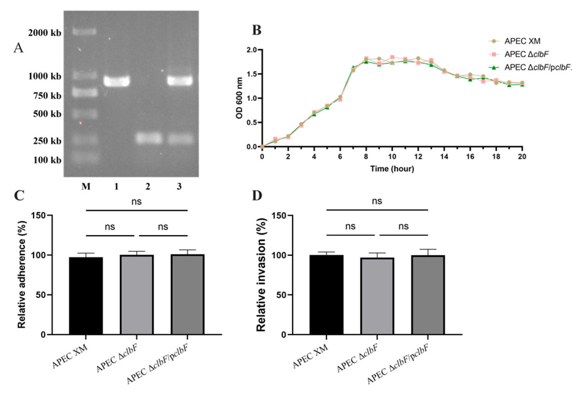 Vetsci 12 00727 g001