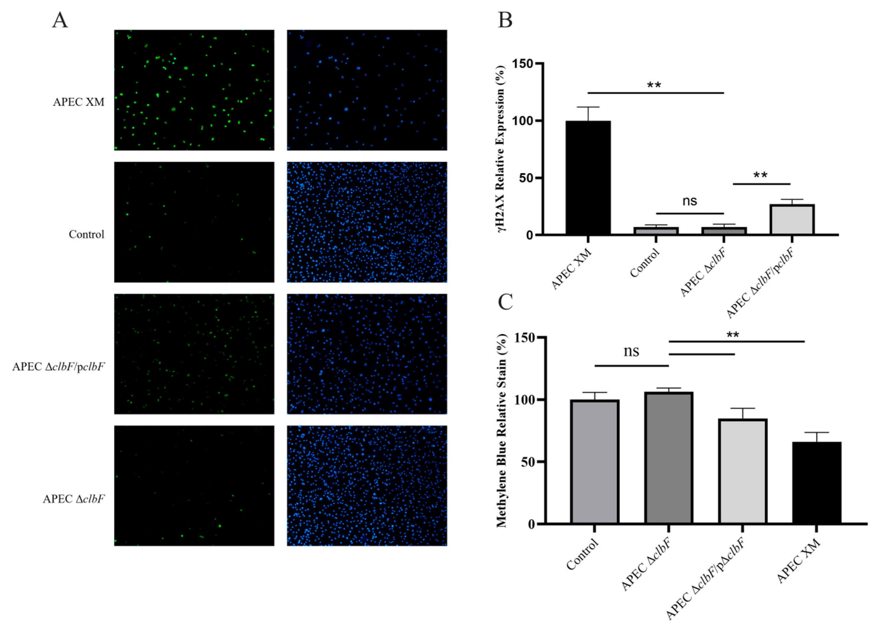 Vetsci 12 00727 g002