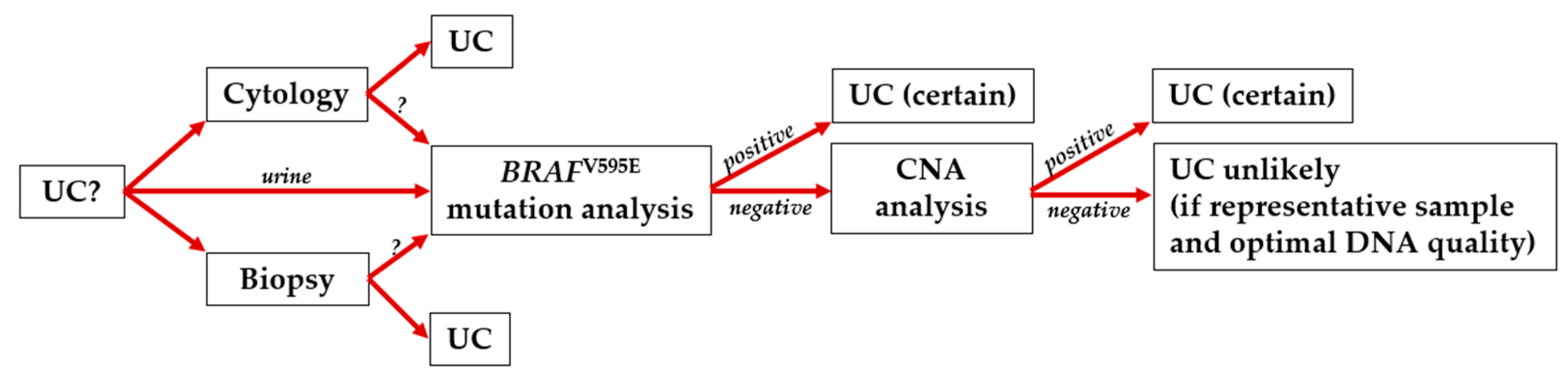 Vetsci 12 00729 g008