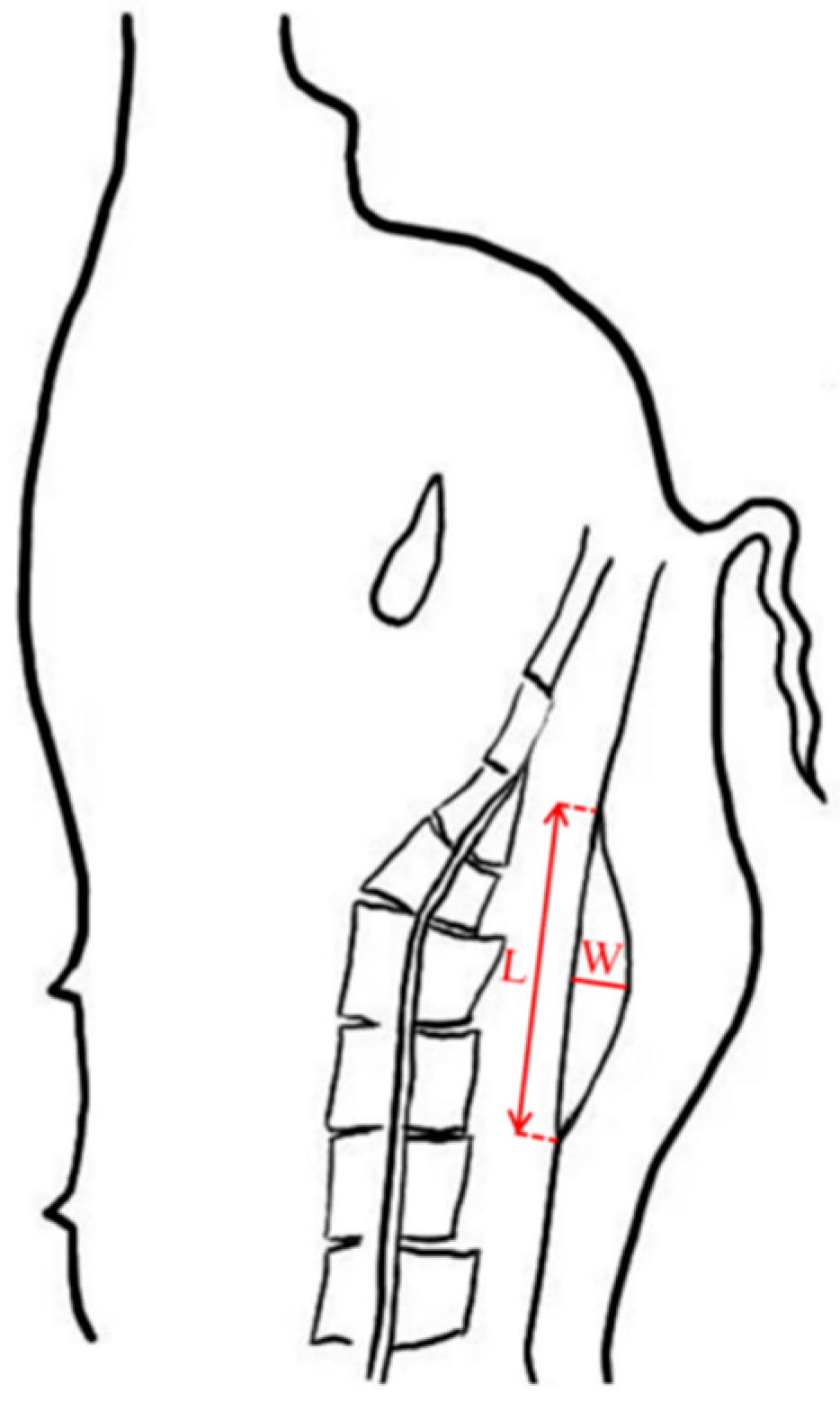 Vetsci 12 00730 g001