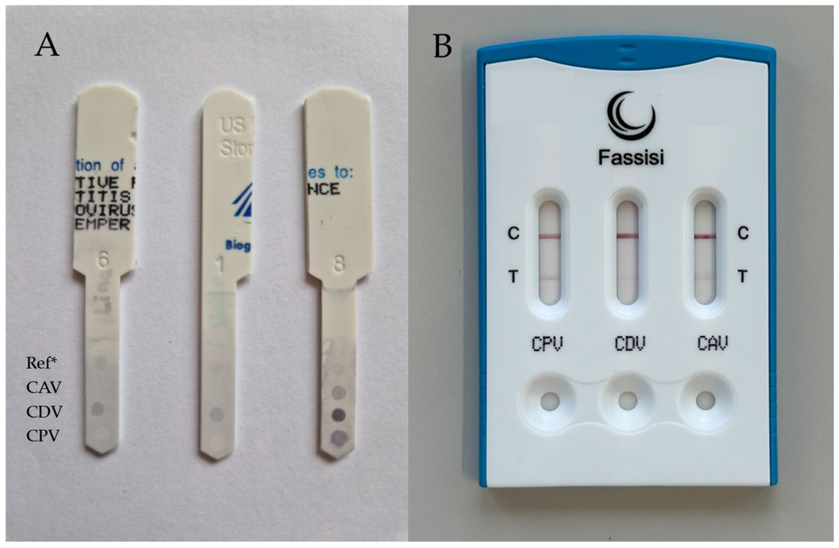 Vetsci 12 00737 g001 Vetsci 12 00737 g001