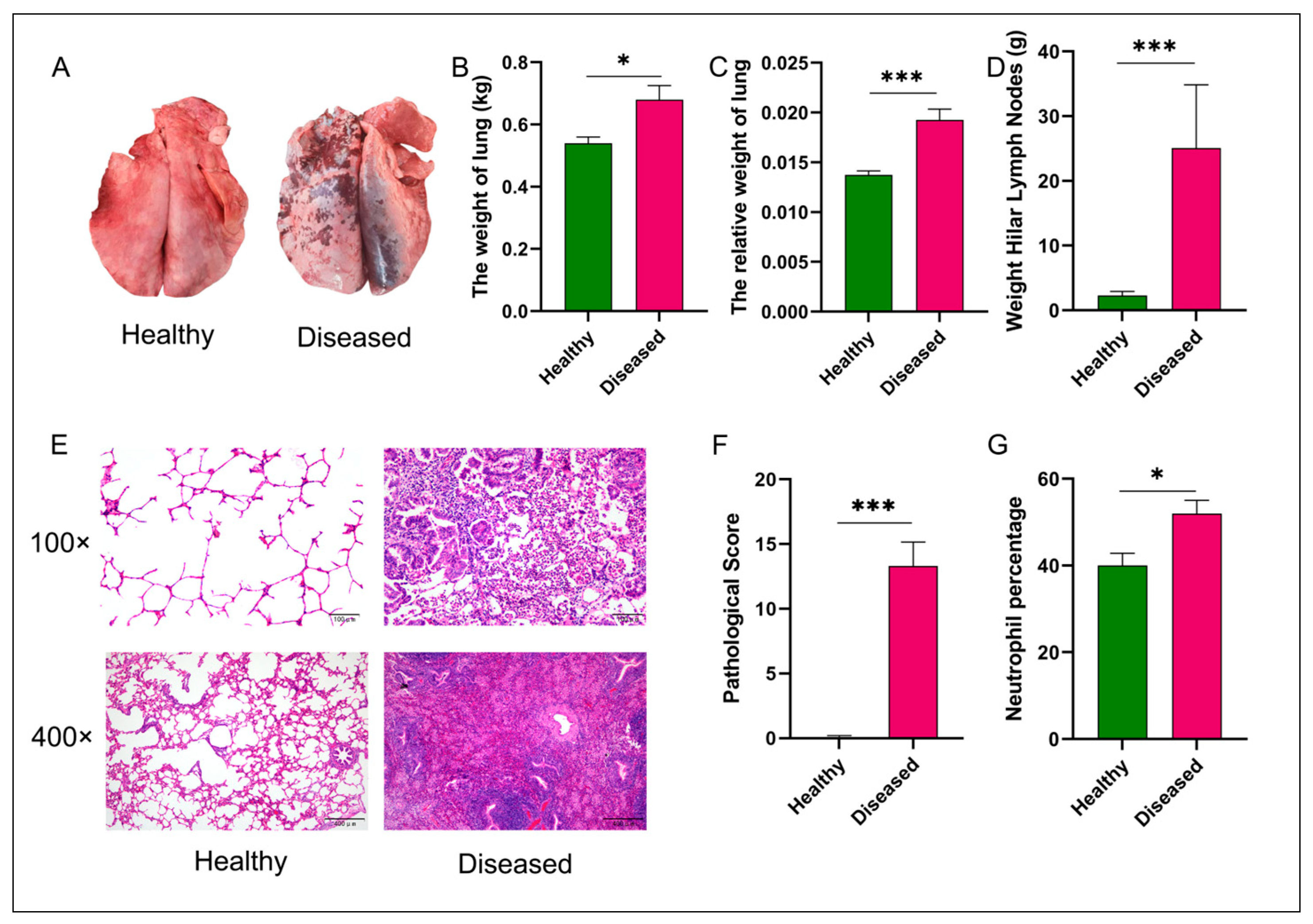 Multidimensional Phenotypic and Microbiome Studies Uncover