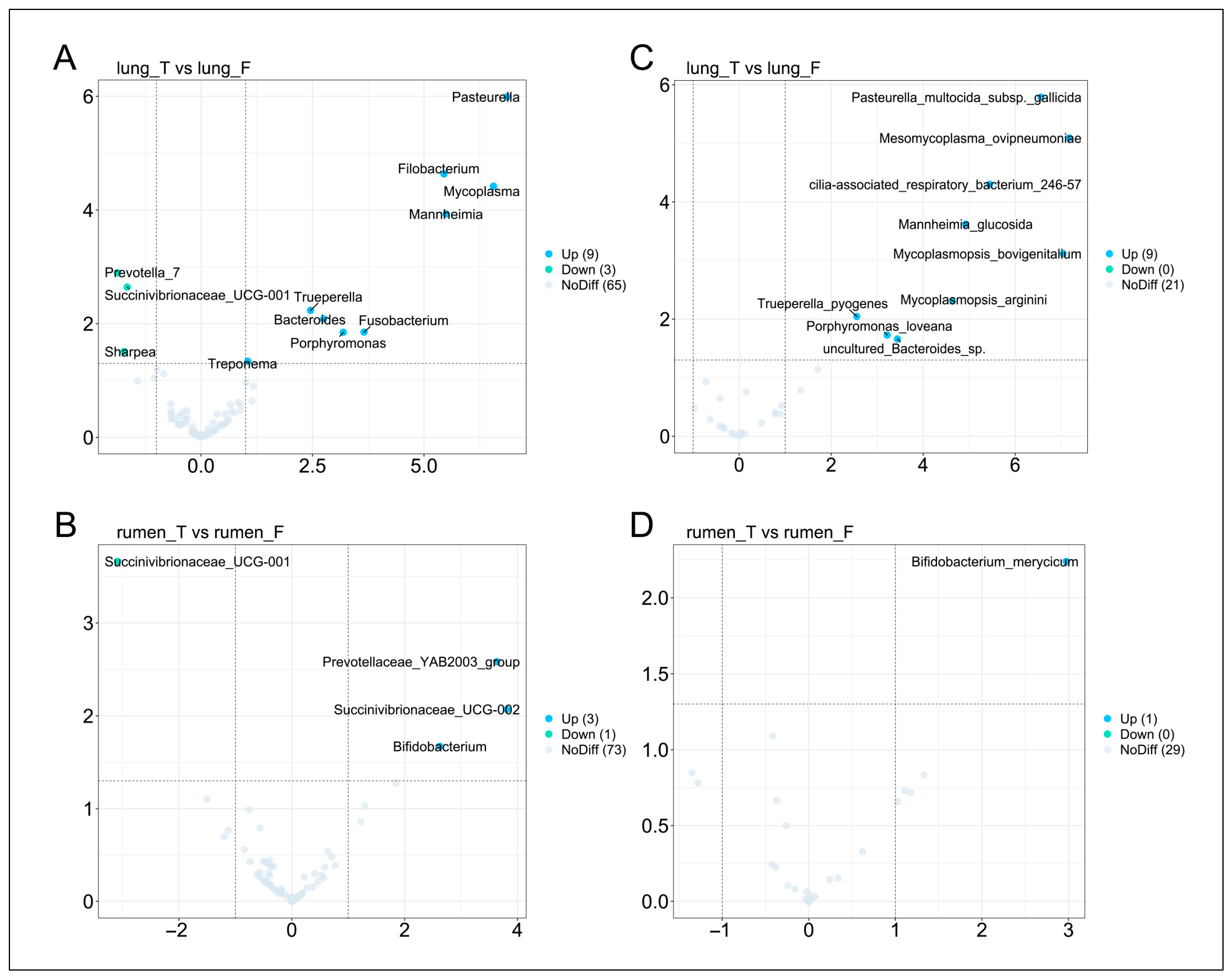 Vetsci 12 00741 g005 Vetsci 12 00741 g005