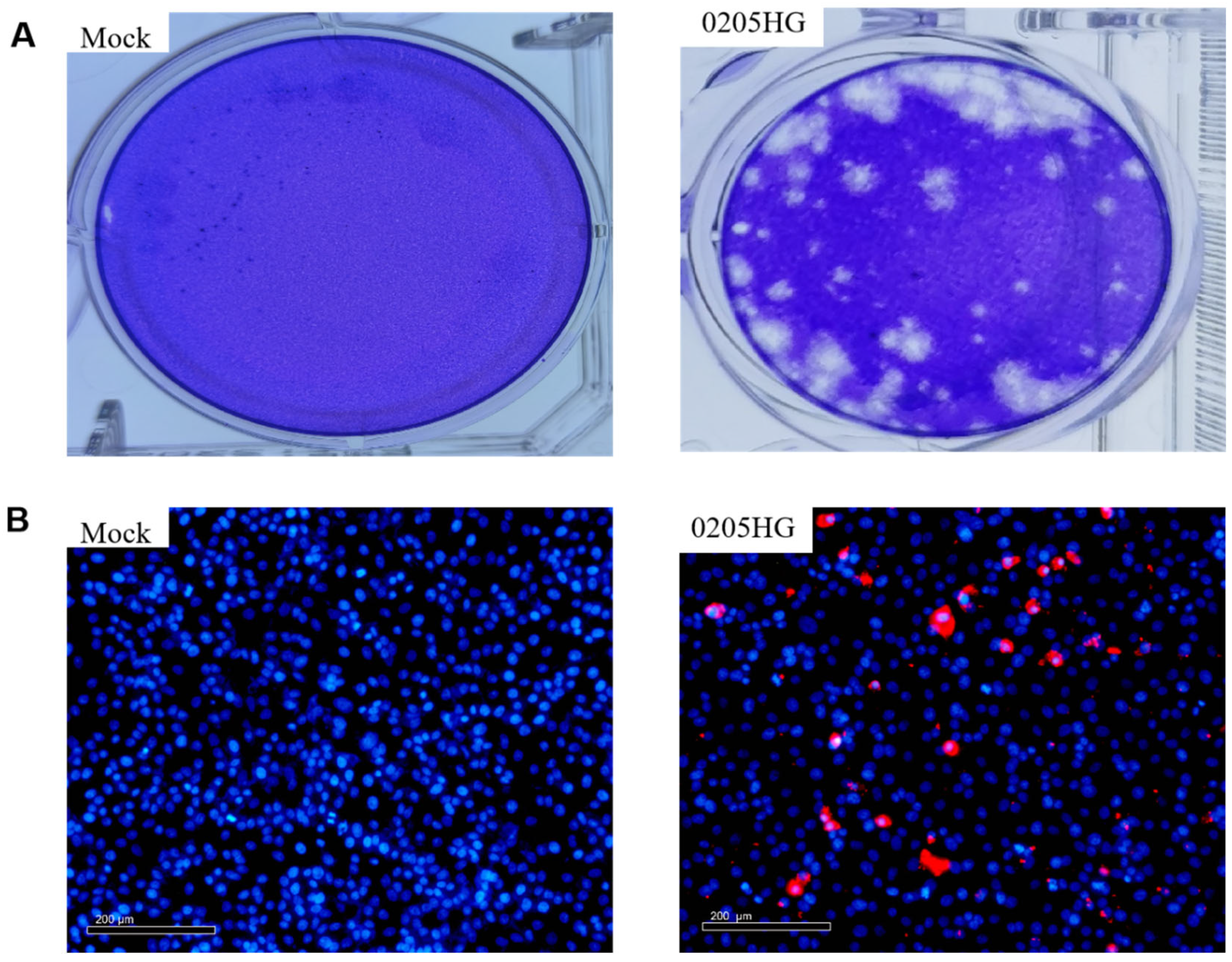 Vetsci 12 00742 g003