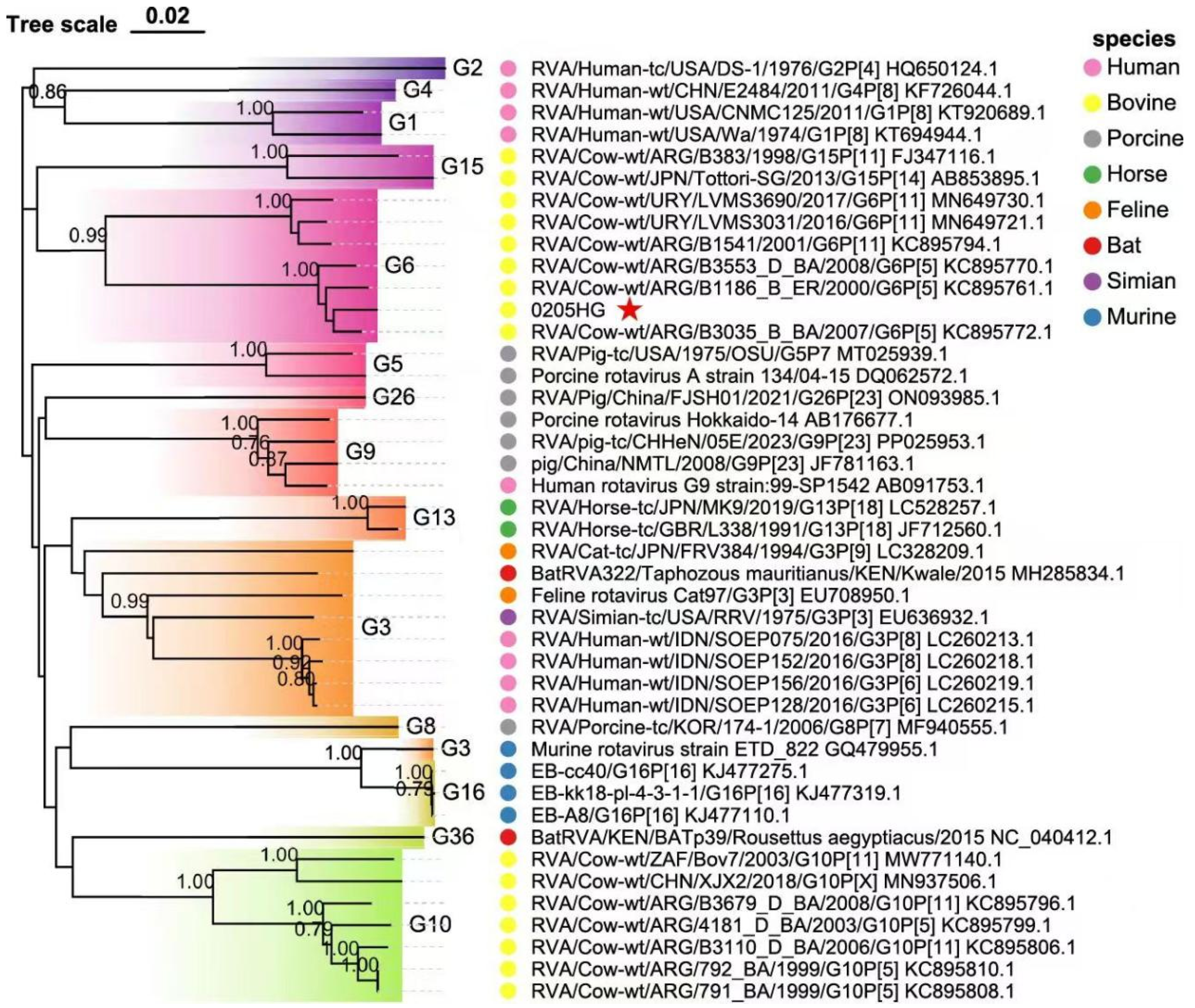 Vetsci 12 00742 g005