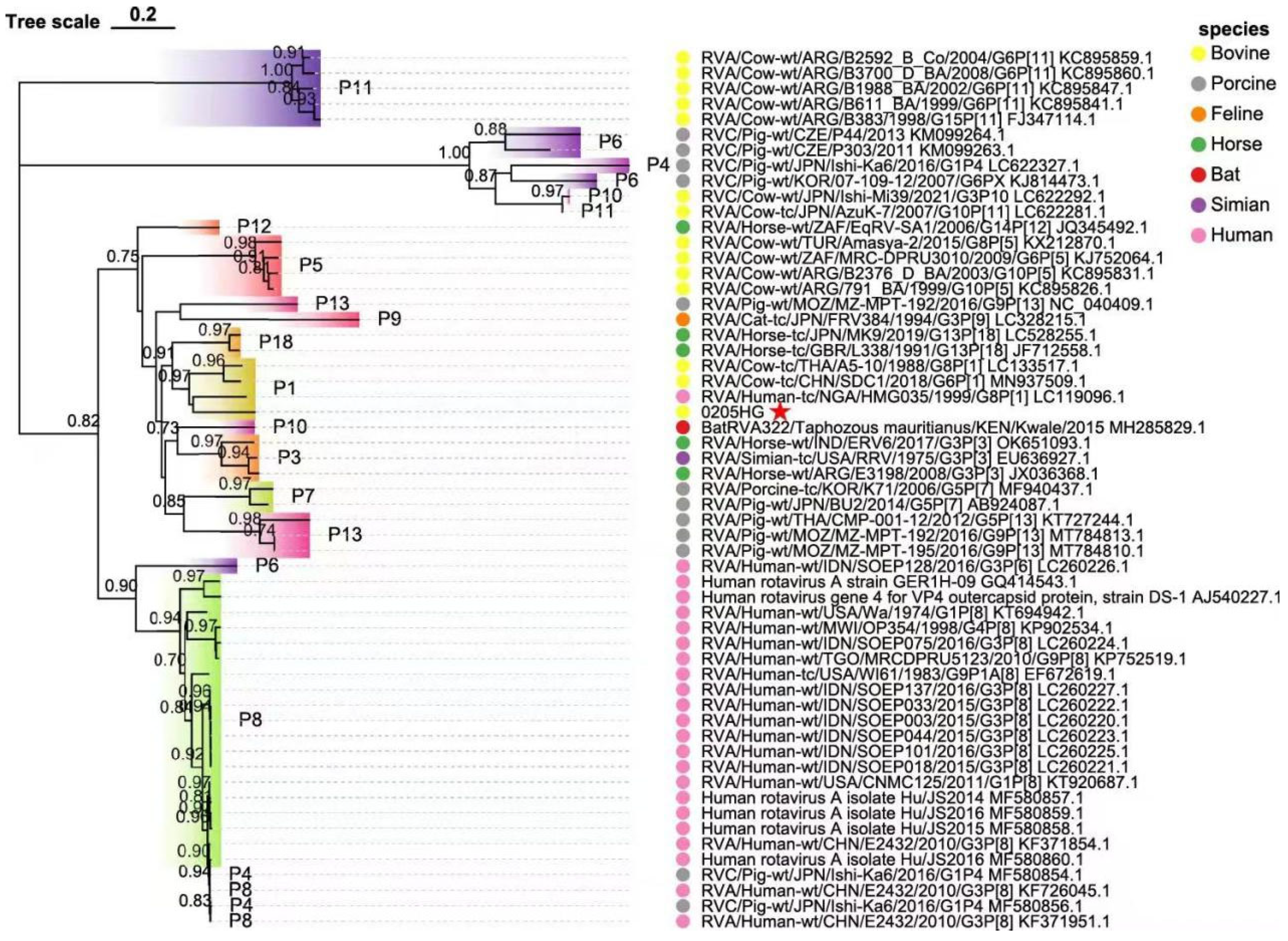 Vetsci 12 00742 g006