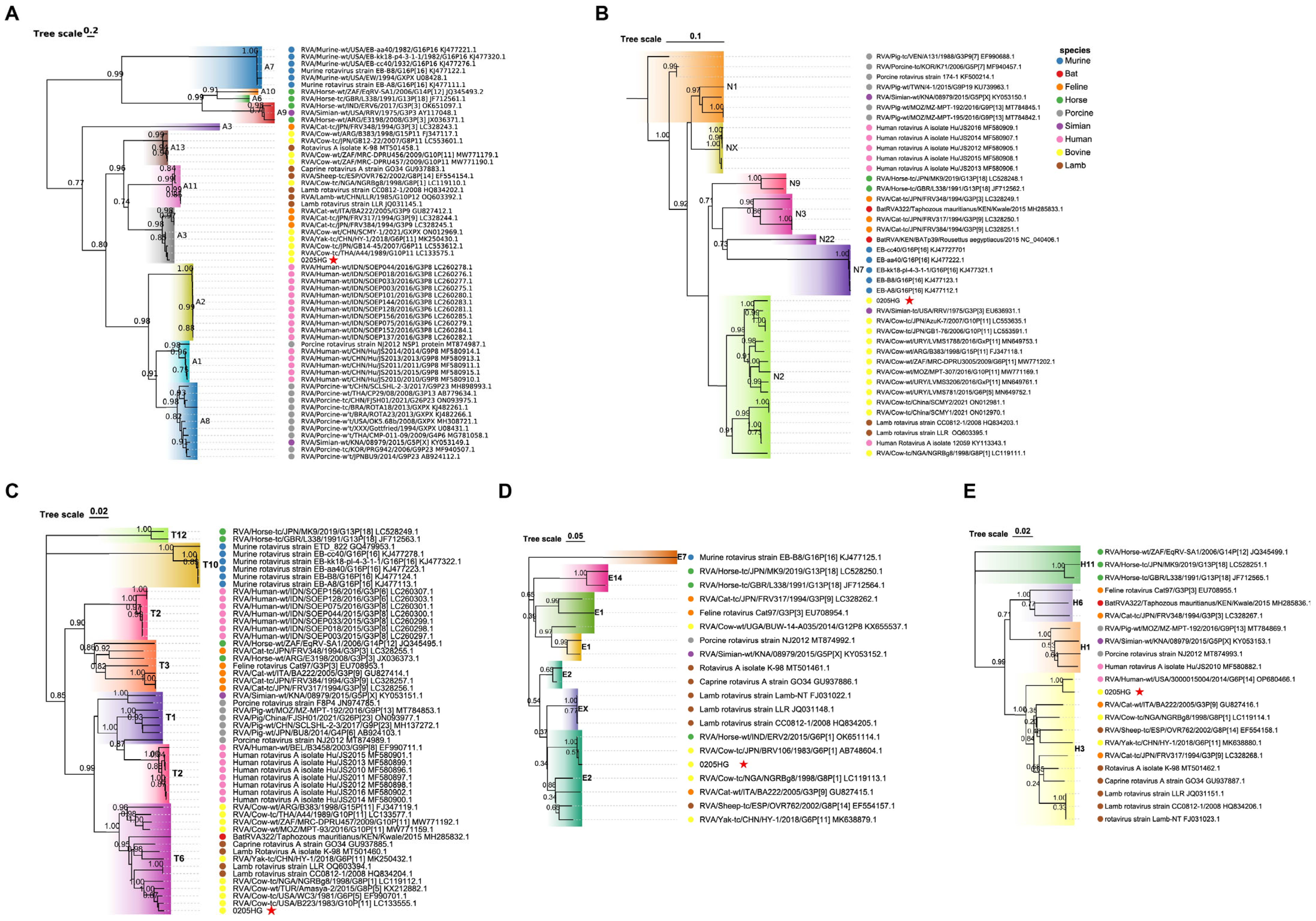 Vetsci 12 00742 g008