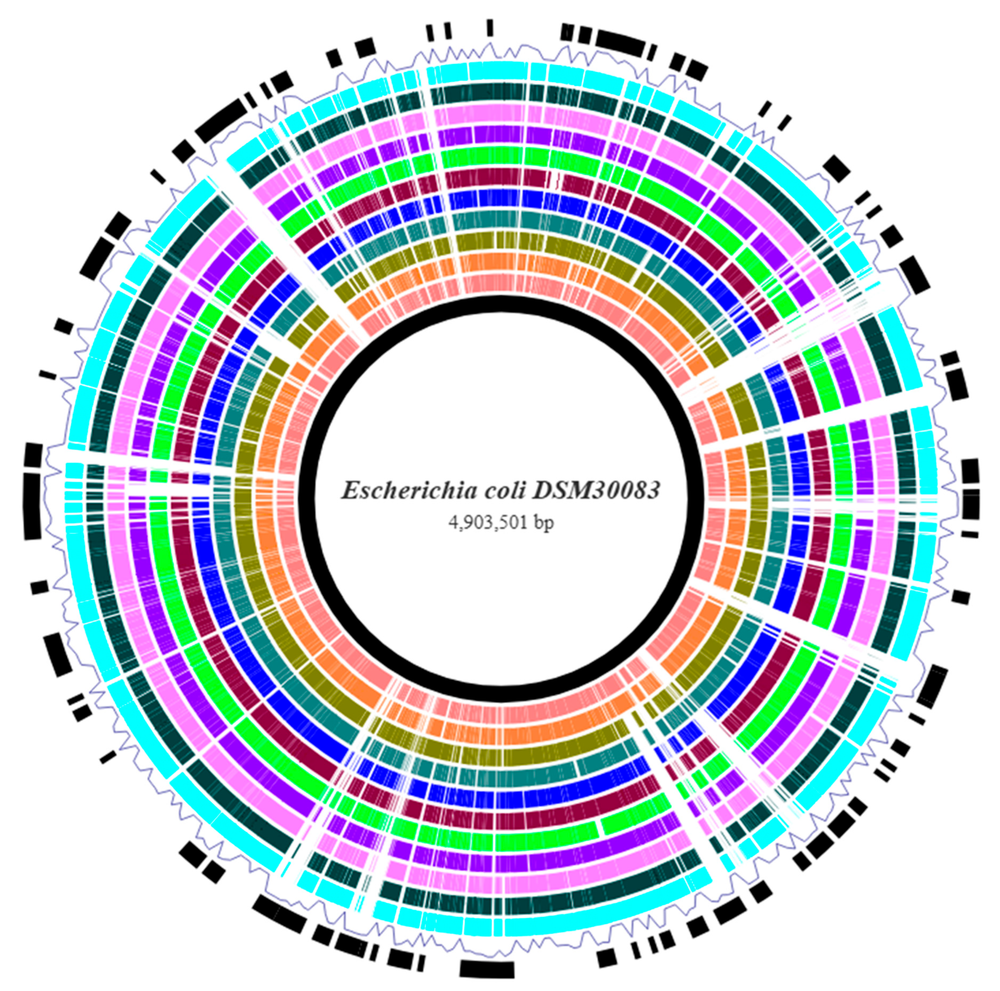 Vetsci 12 00744 g002