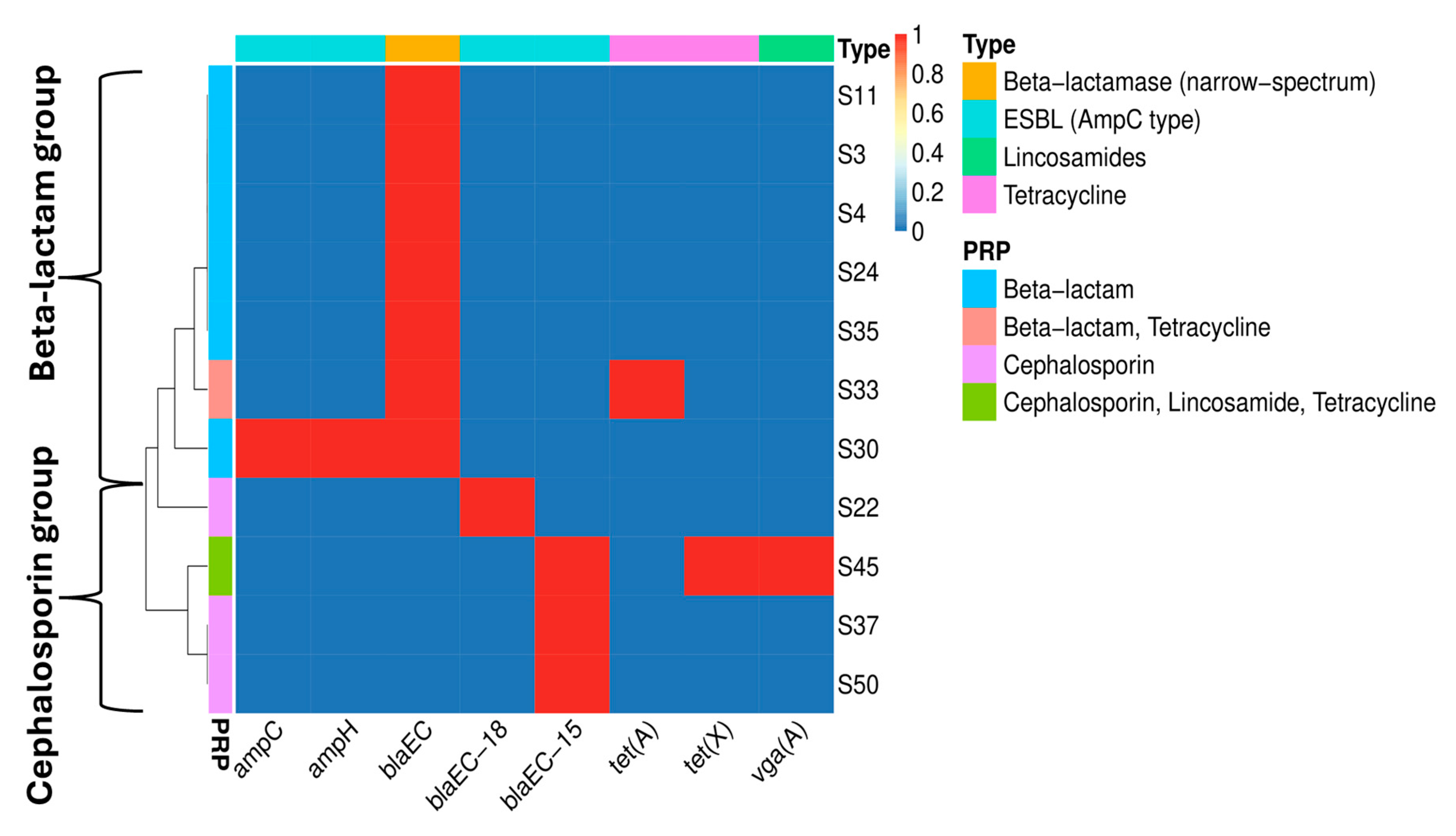 Vetsci 12 00744 g005