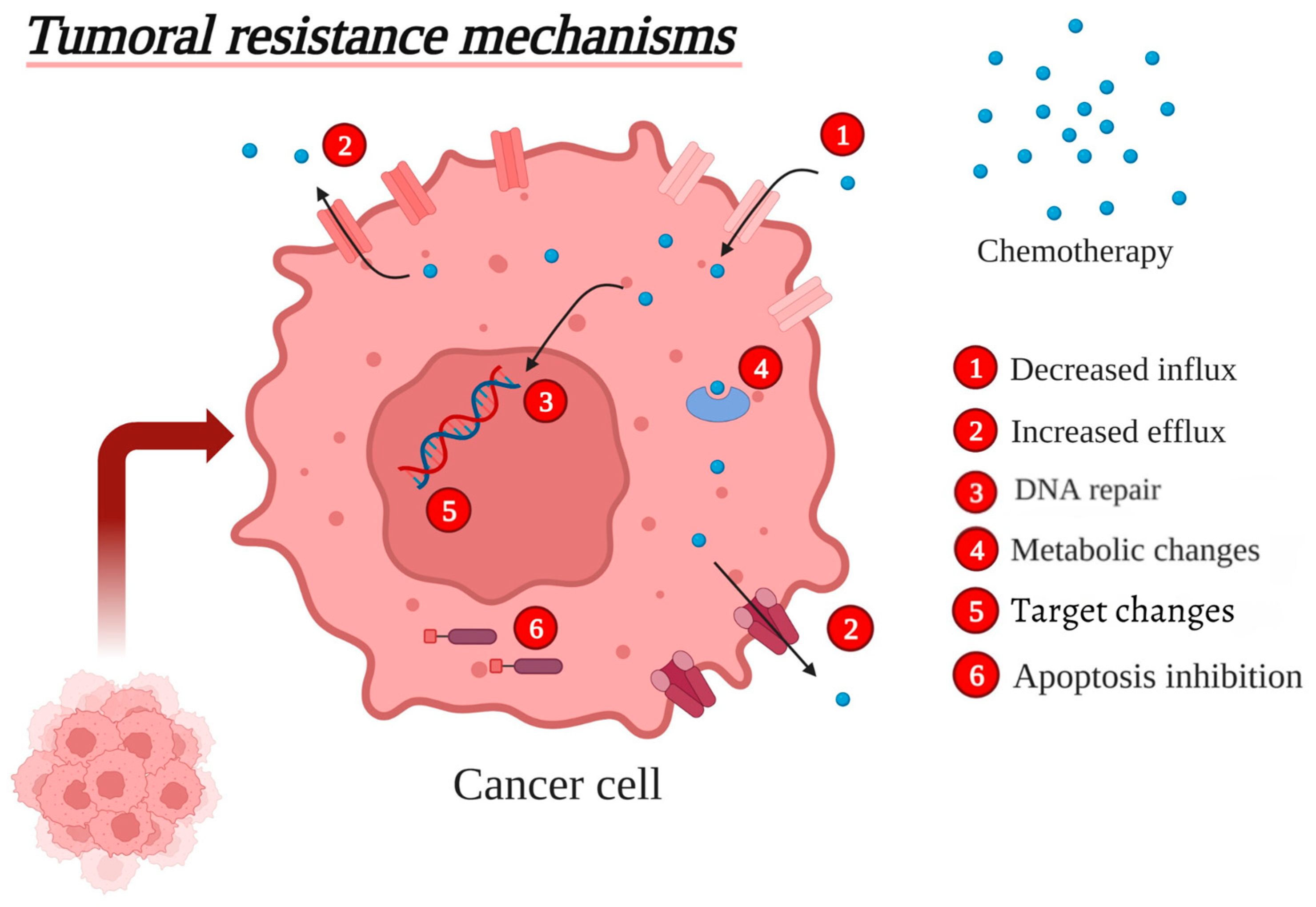 Vetsci 12 00747 g001
