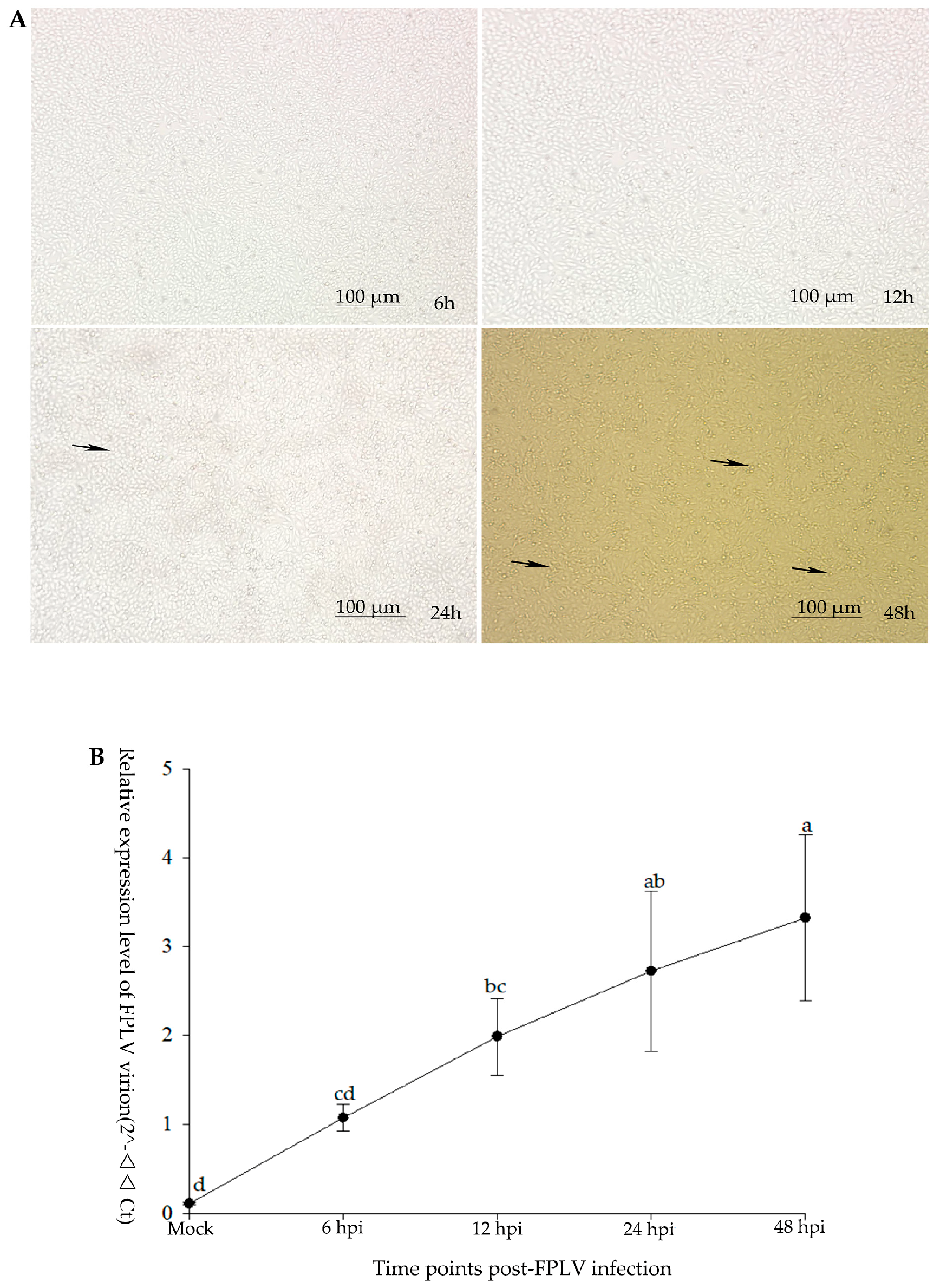 Vetsci 12 00748 g001