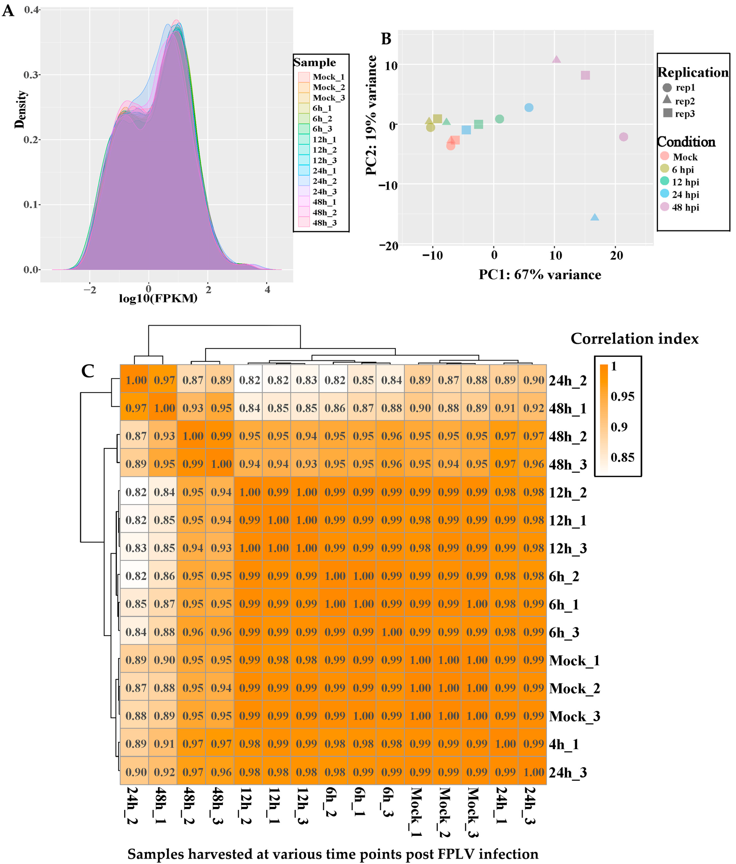 Vetsci 12 00748 g002