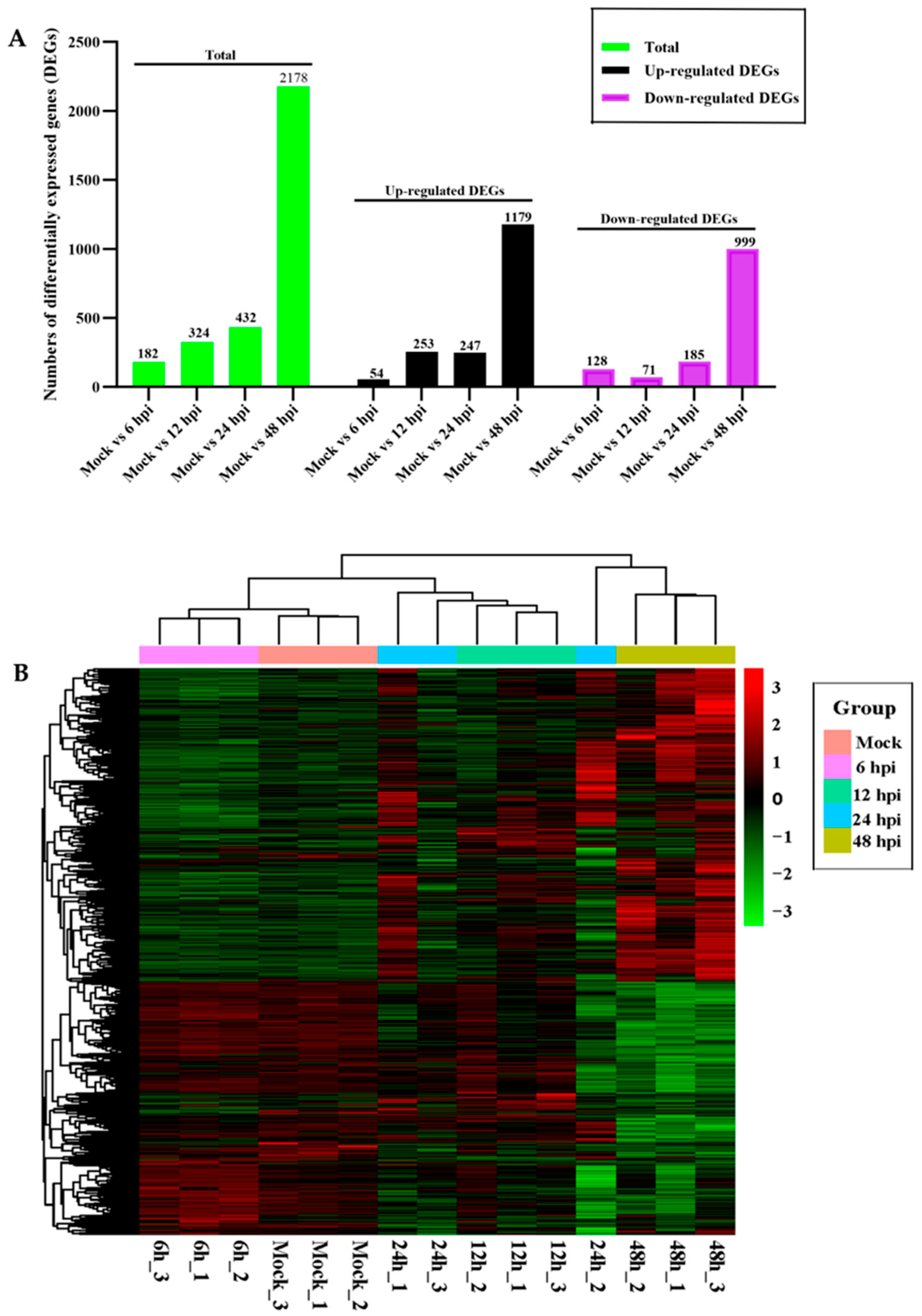 Vetsci 12 00748 g003