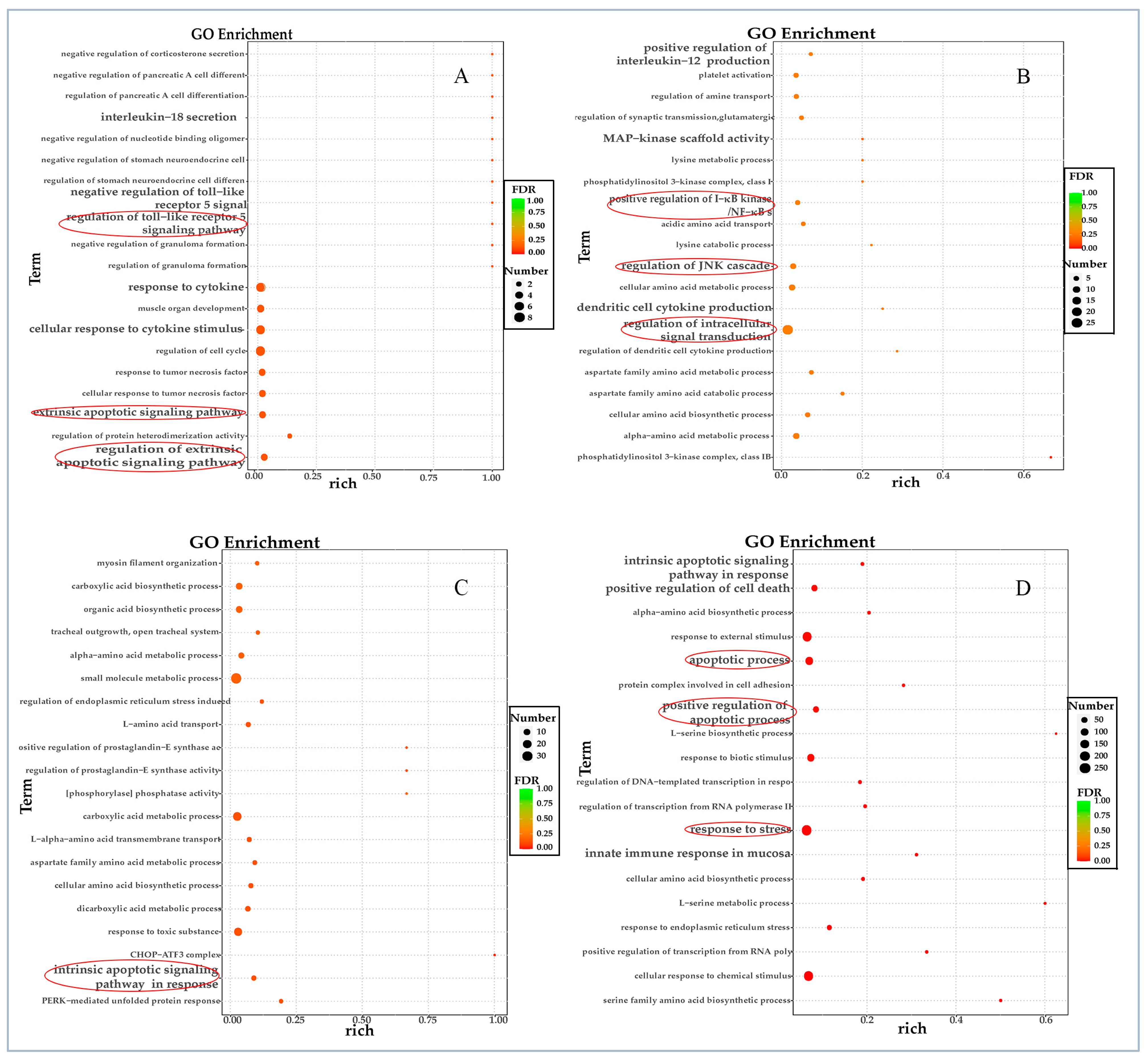 Vetsci 12 00748 g004