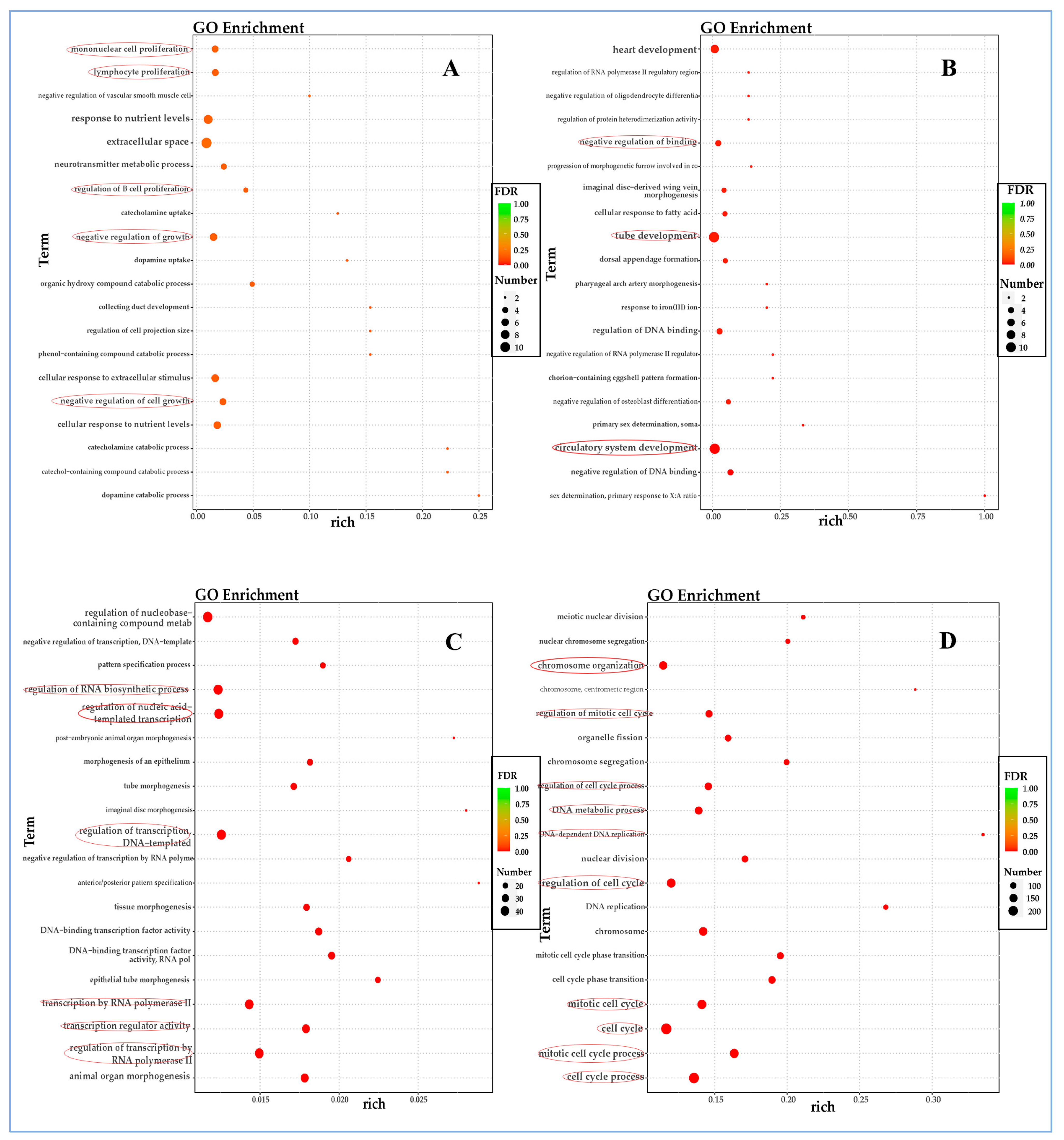 Vetsci 12 00748 g005