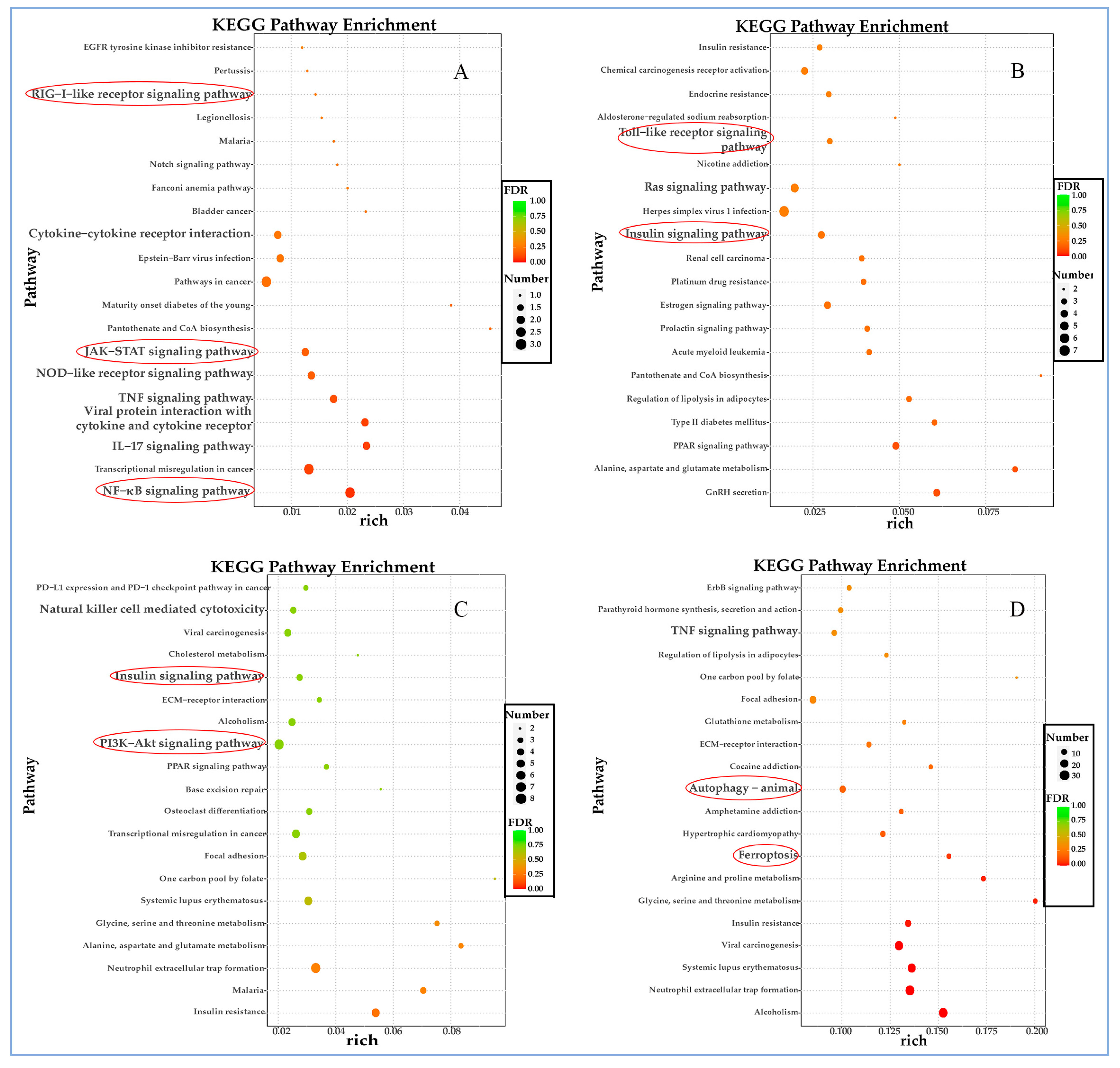 Vetsci 12 00748 g006