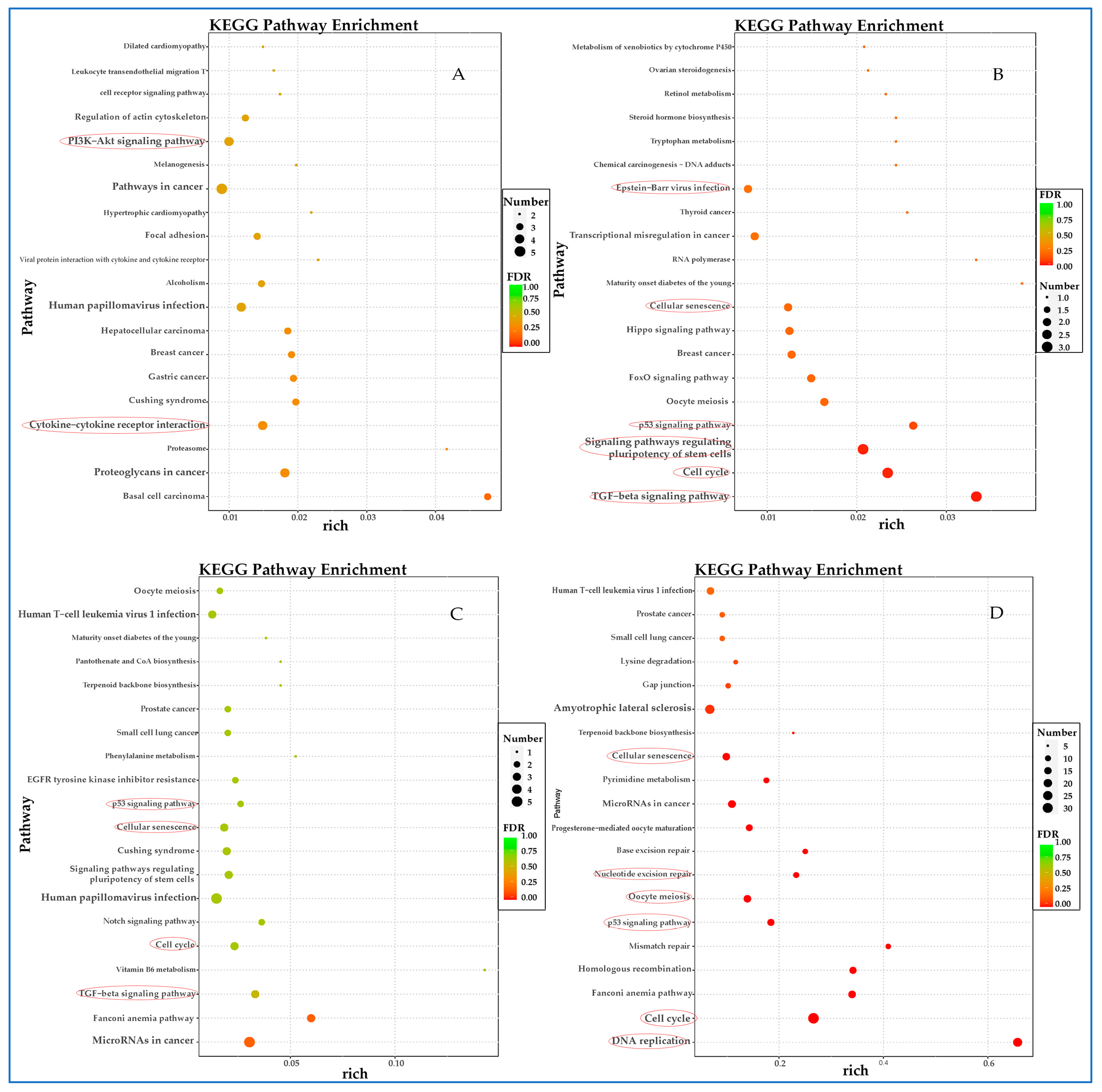 Vetsci 12 00748 g007