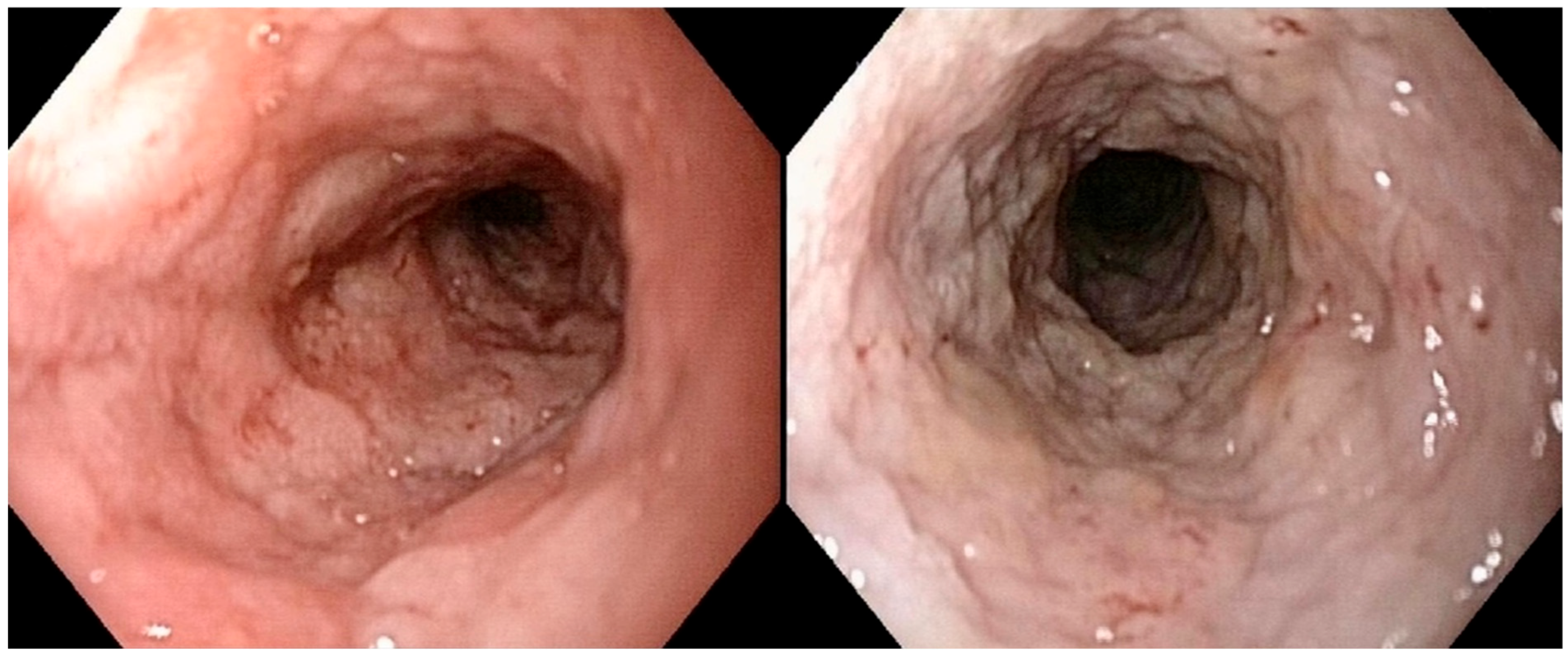 Vetsci 12 00751 g003