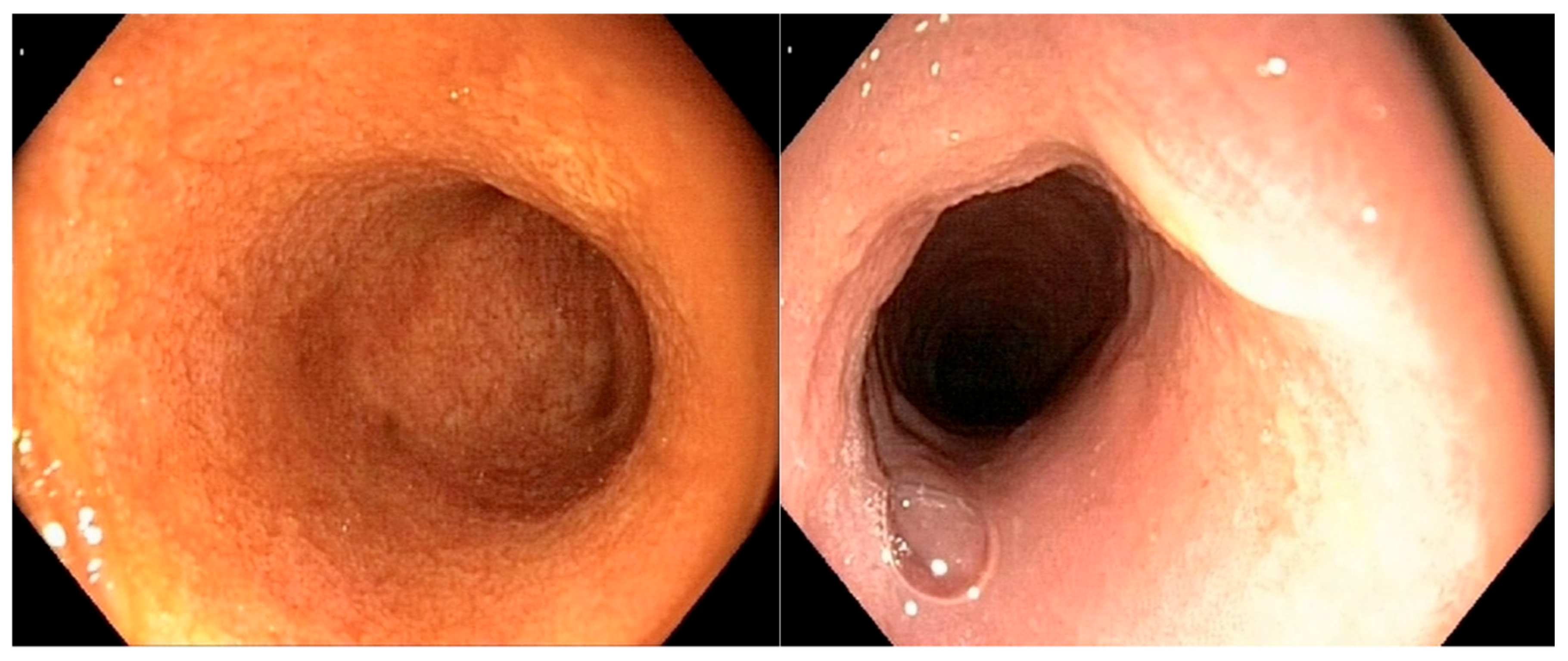 Vetsci 12 00751 g005